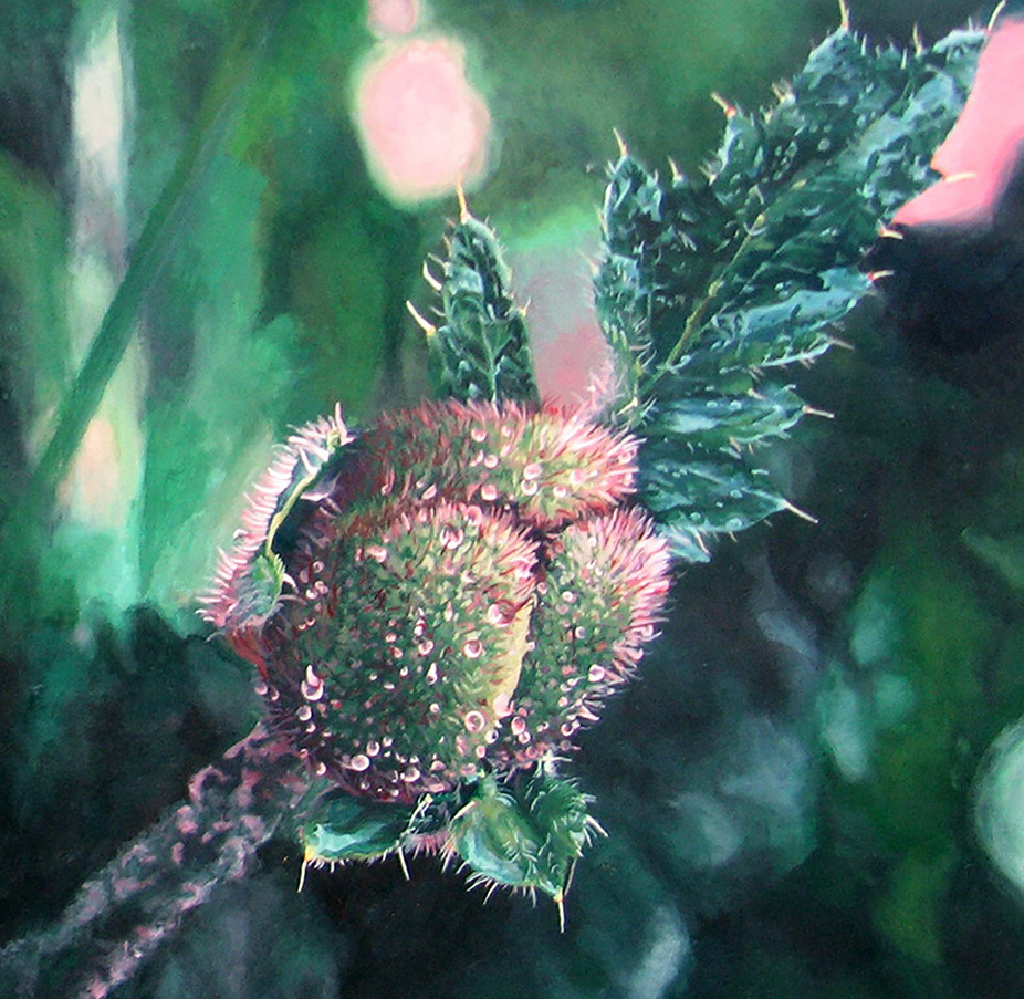 After the Rain Signed Limited Edition Giclée