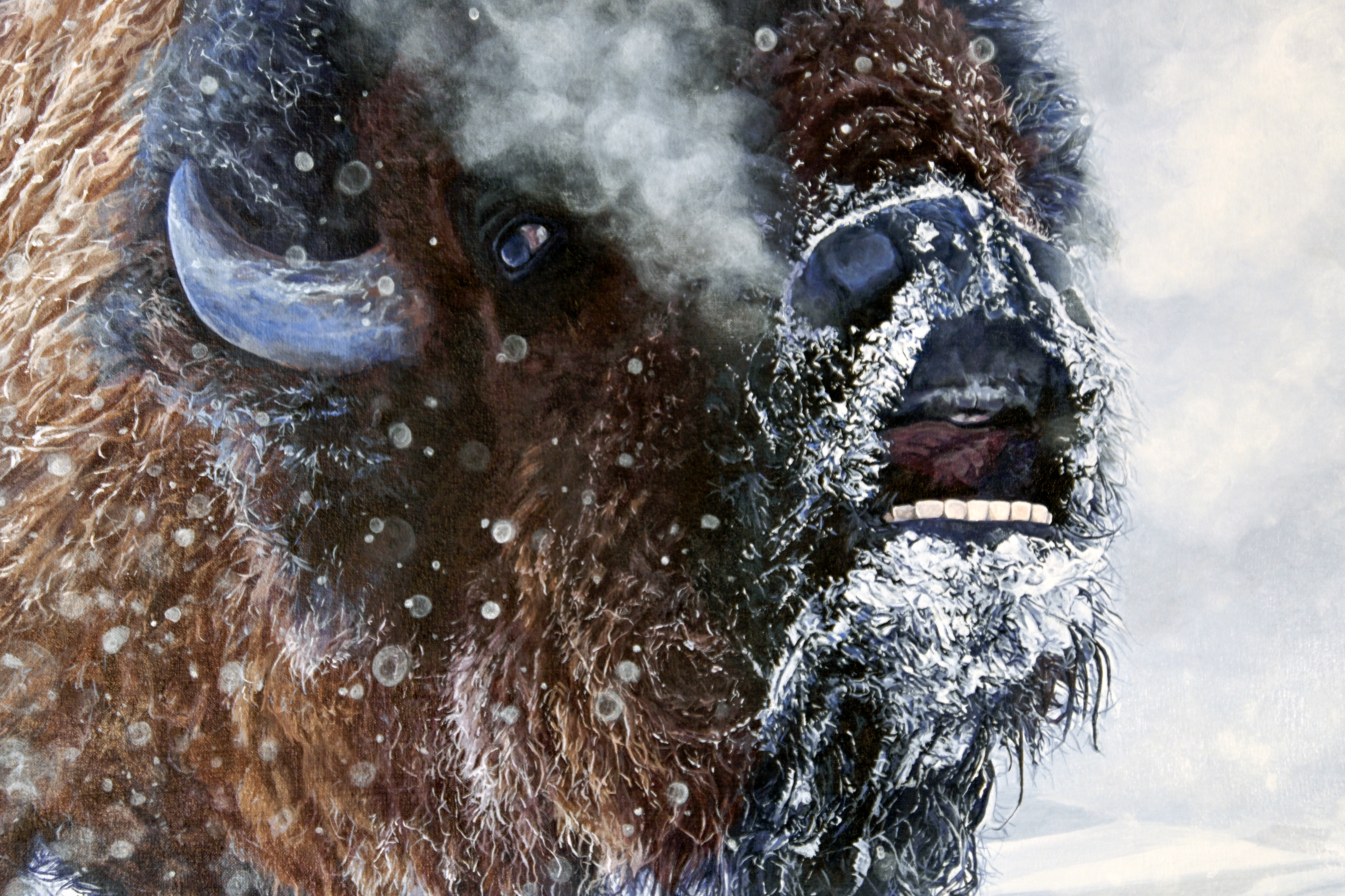 The Call --Limited Edition Fine Art Giclée on Archival Canvas, Stretched