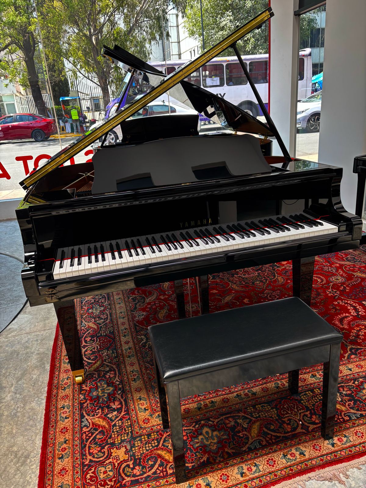 Yamaha GB1
