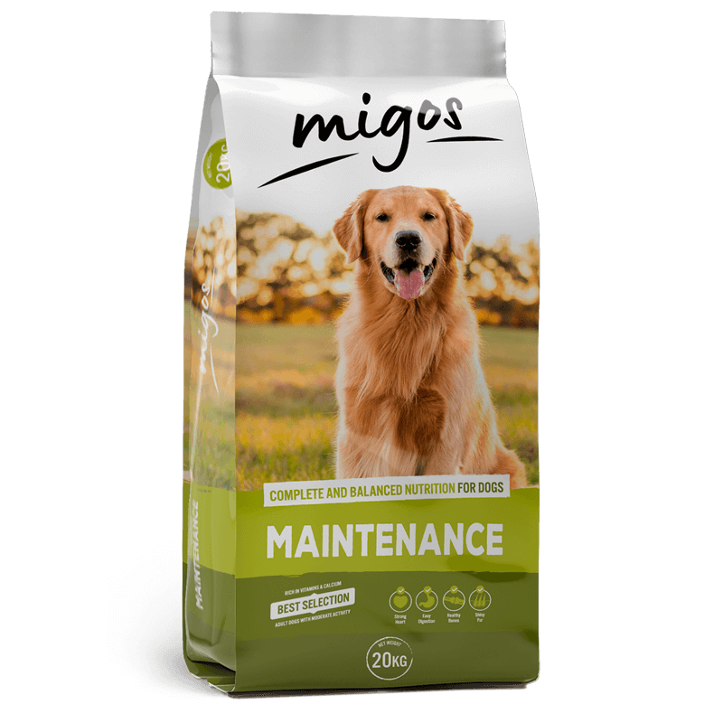 Migos Maintenance 20kg