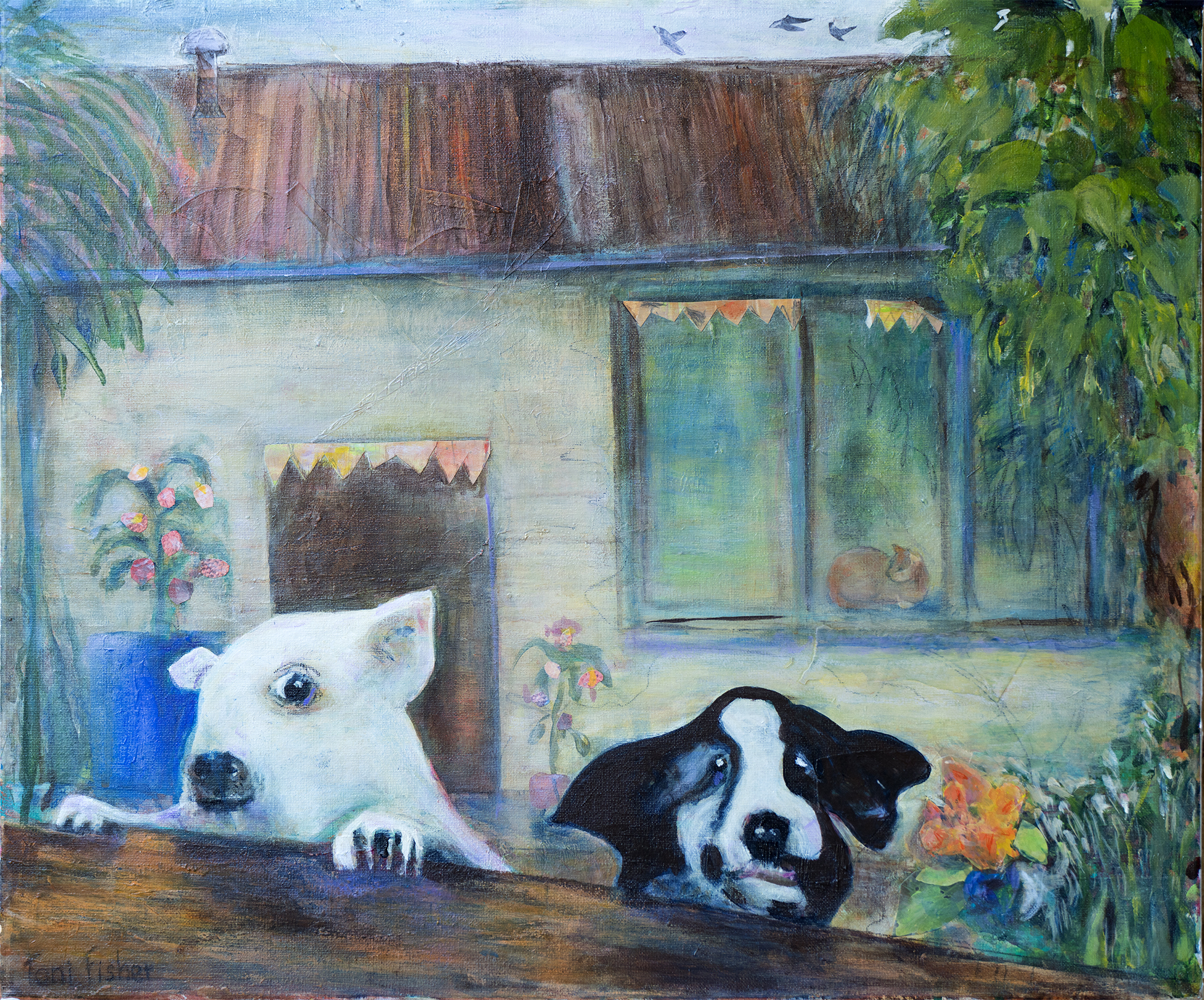 Dogs