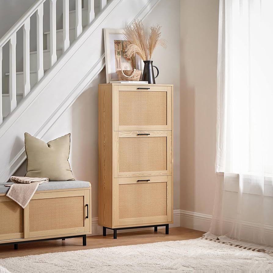 Modern Wood Shoe Cabinet