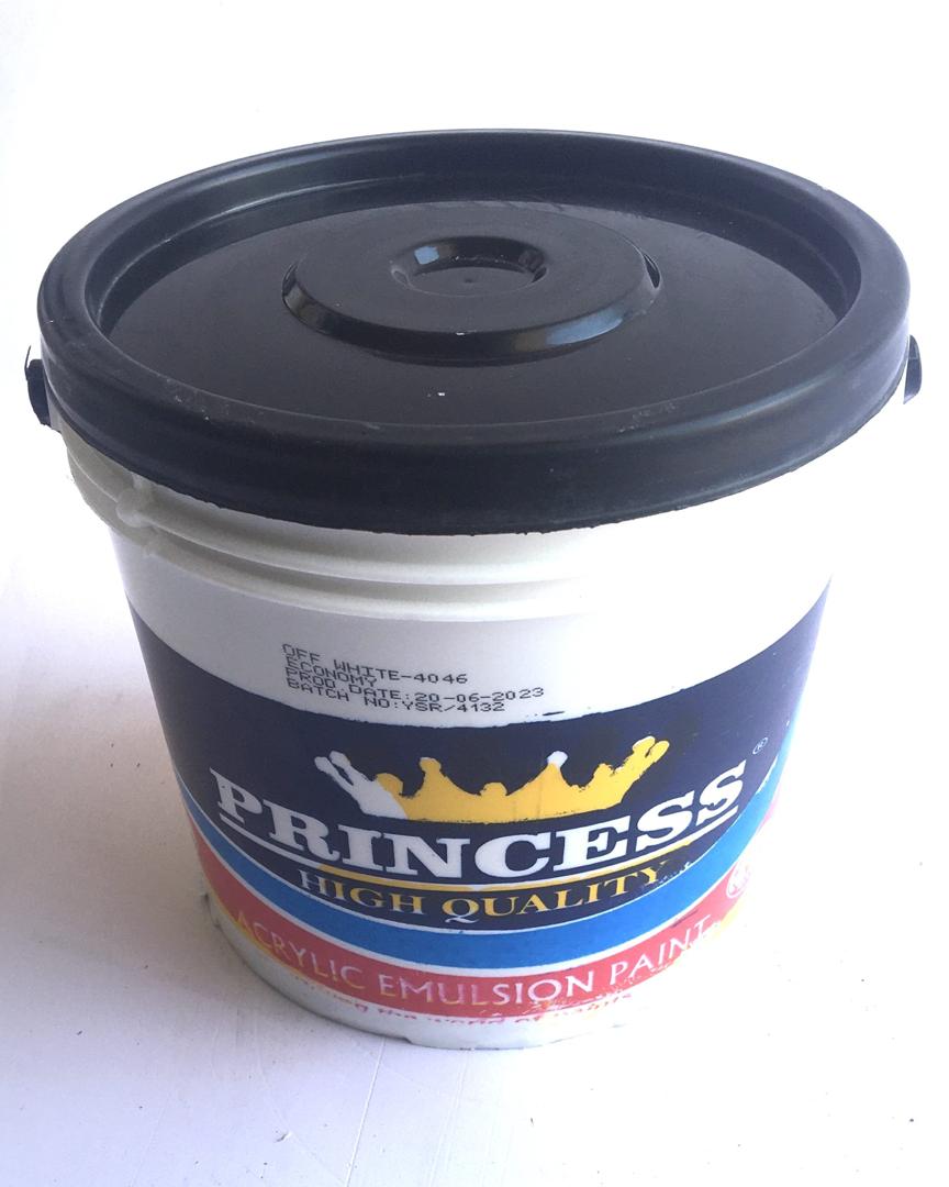 Princess High Quality Acrylic Emulsion Paint