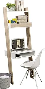 Modern Ladder Desk
