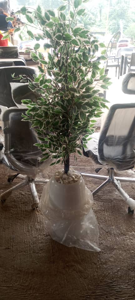 Artificial Decorative Plant