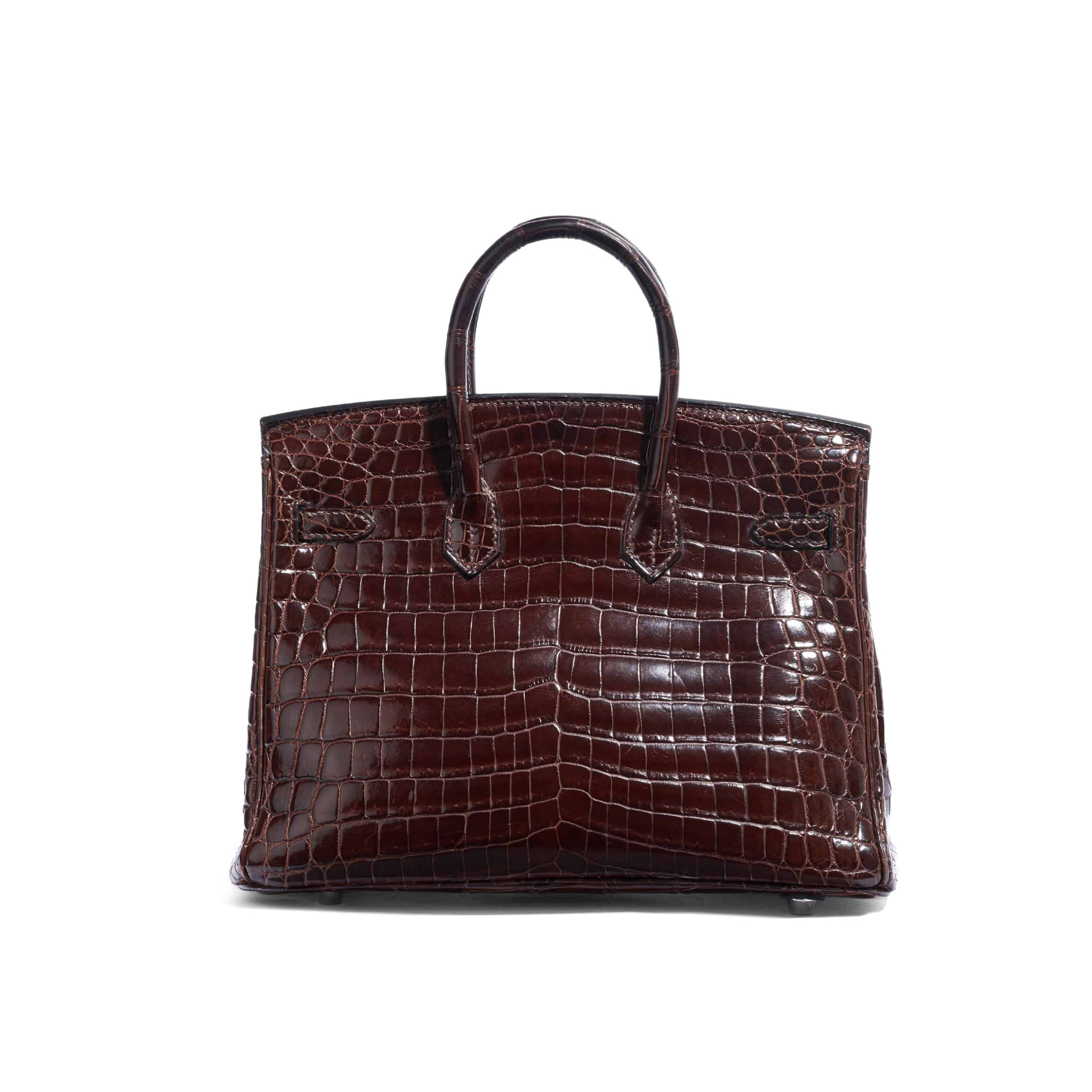 Brikin Bag (Crocodile leather)