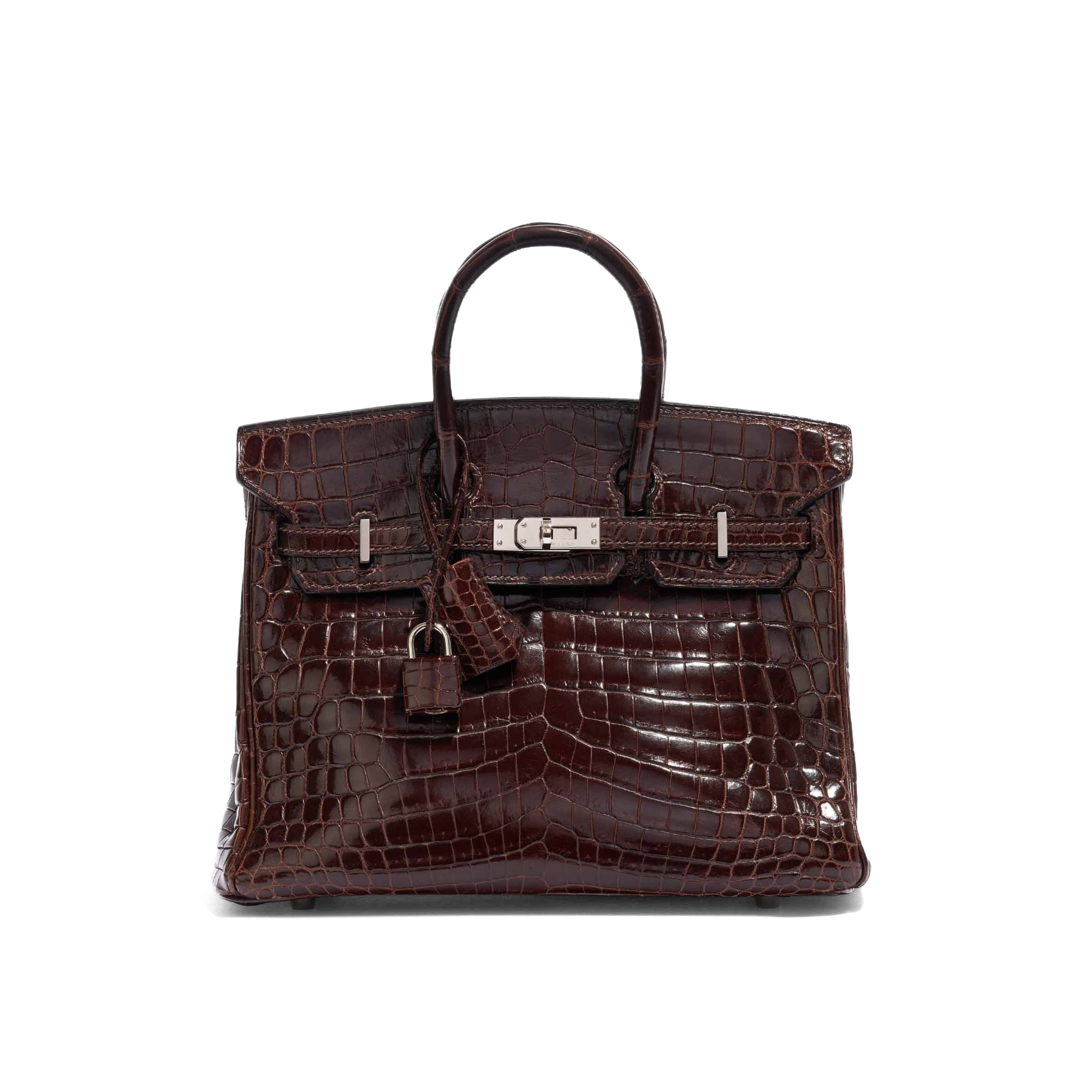 Brikin Bag (Crocodile leather)