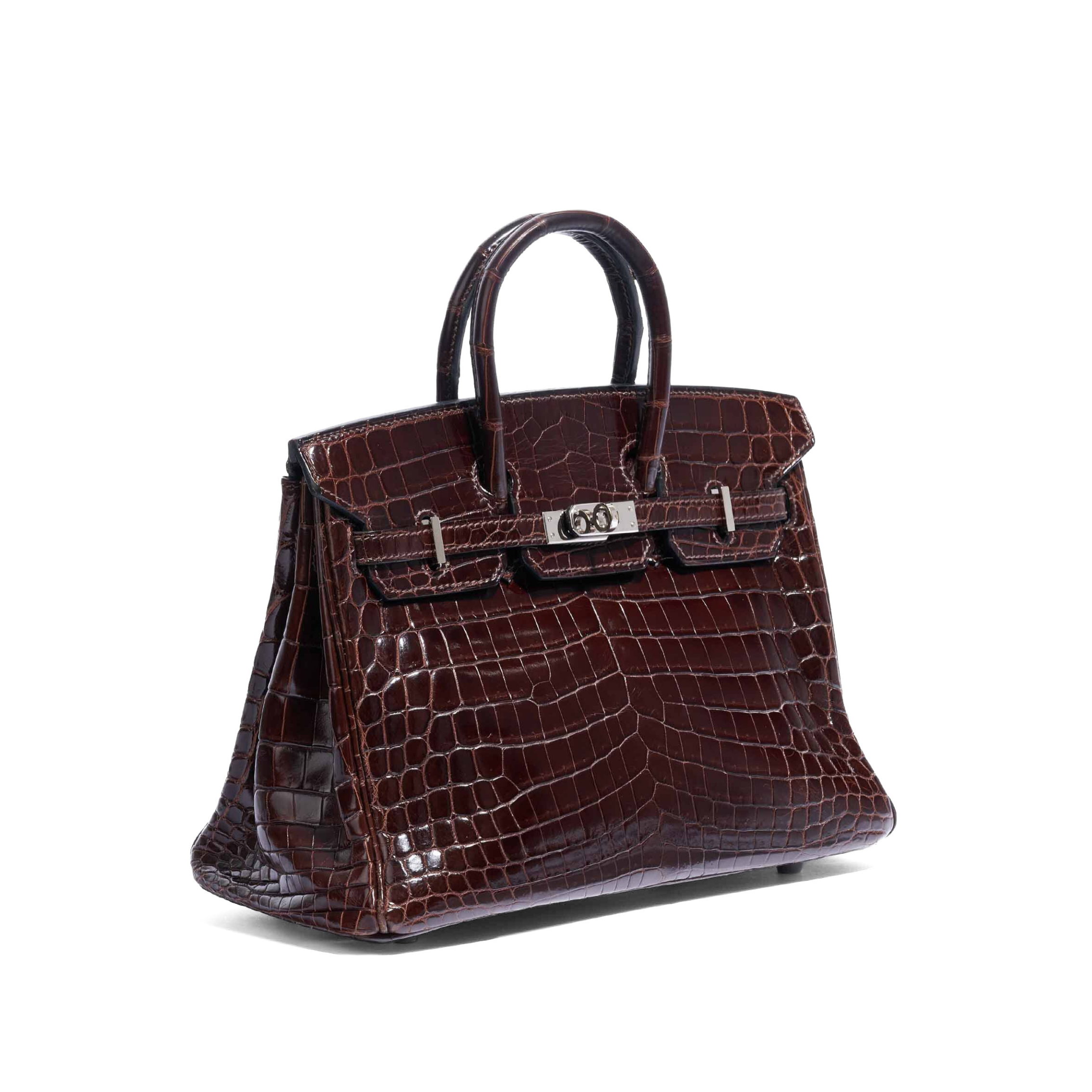 Brikin Bag (Crocodile leather)