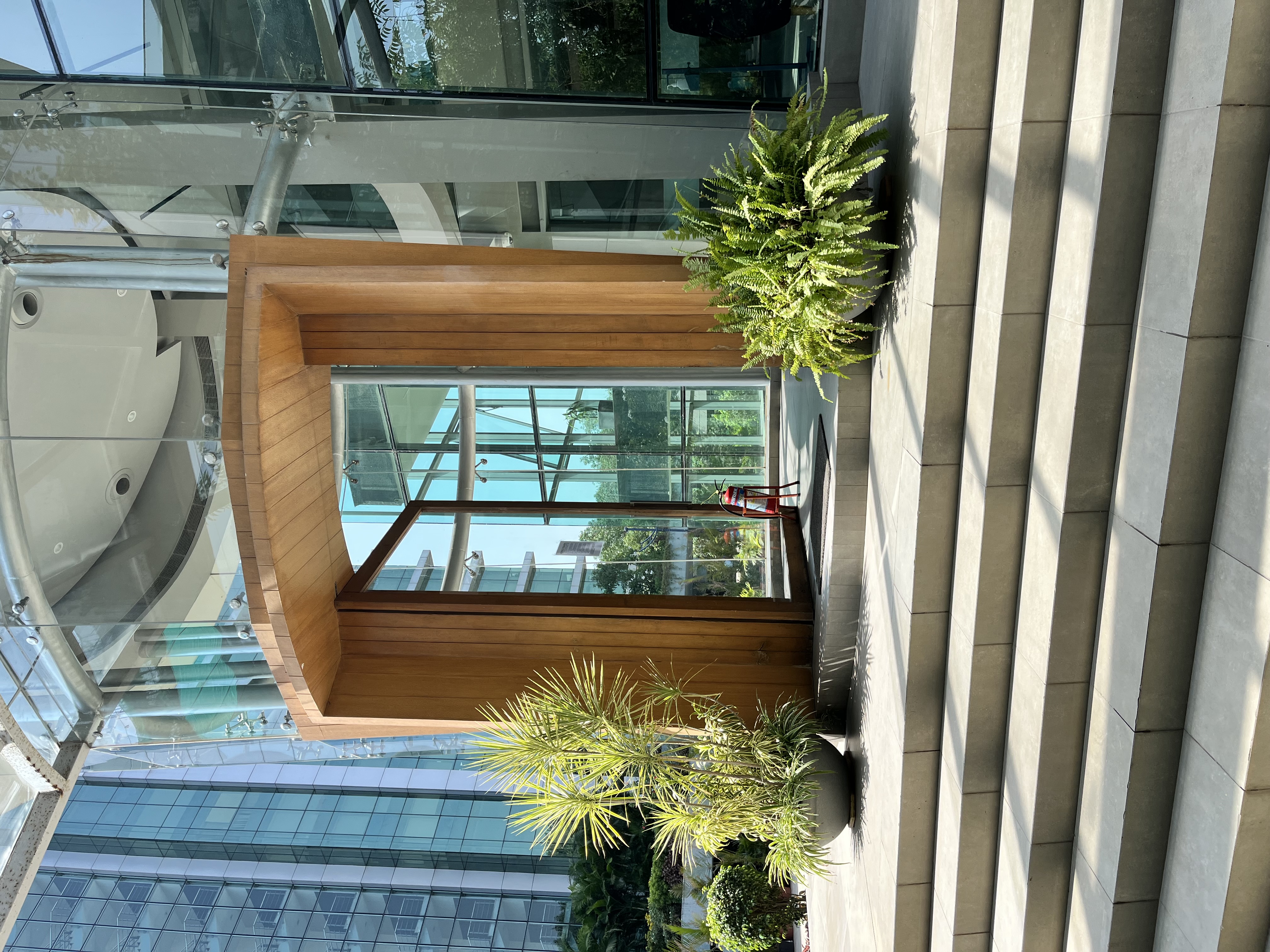 Modern Plants Outdoor - Rental
