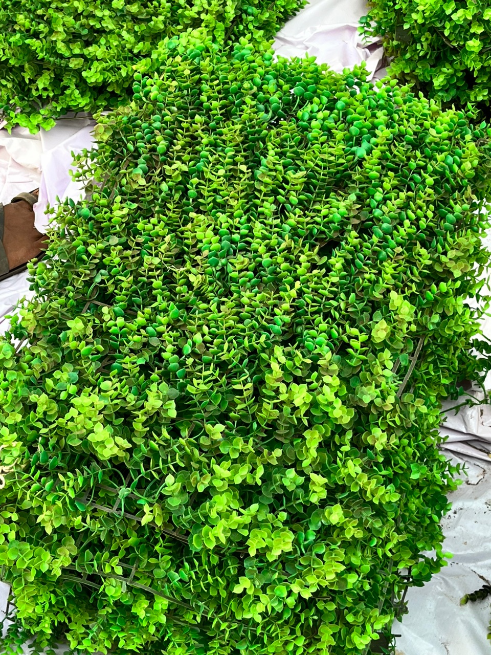 Artificial Boxwood Hedge Panel - Rental