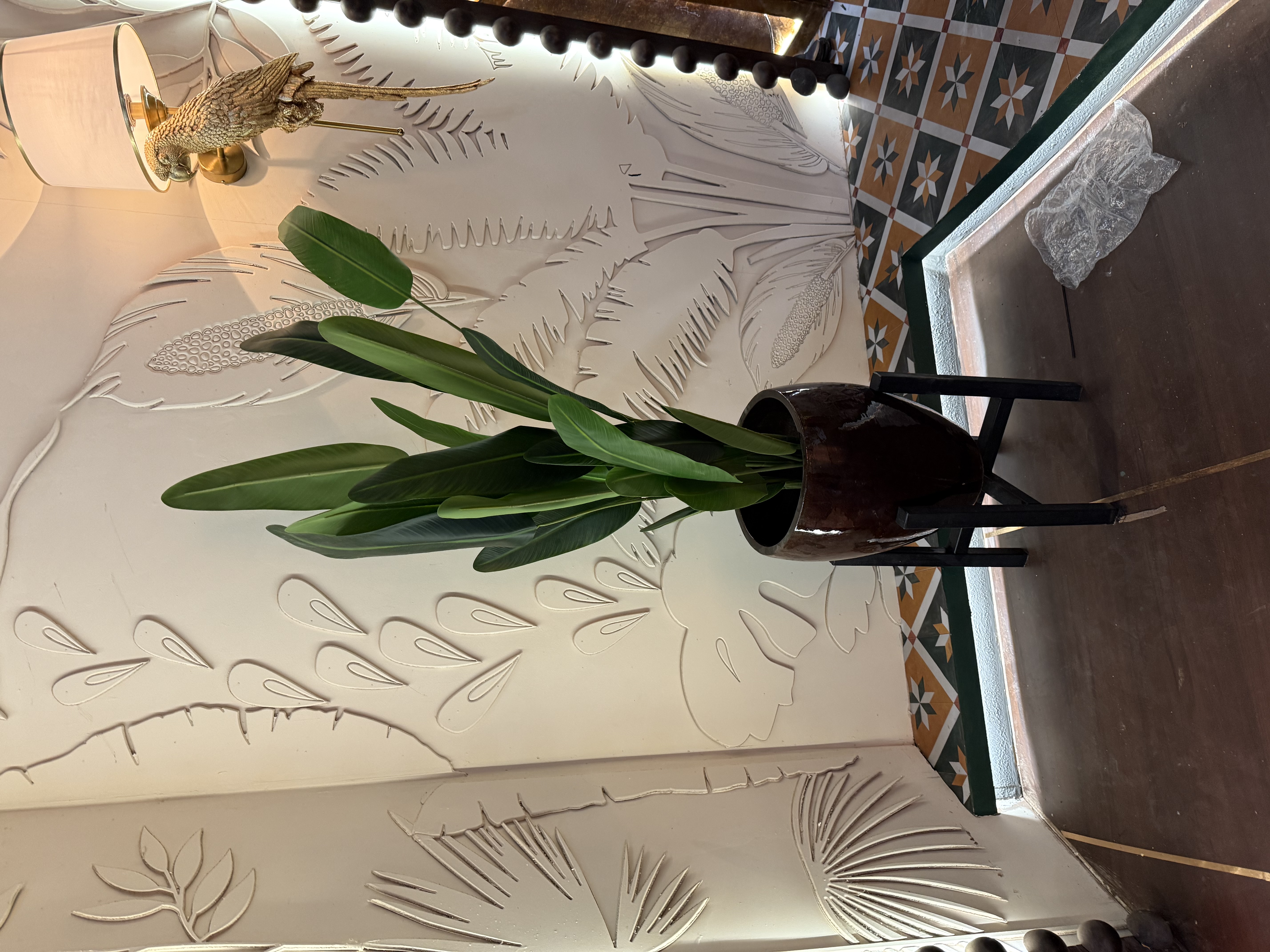 Large Indoor Plant in Modern Black Planter - Rental 