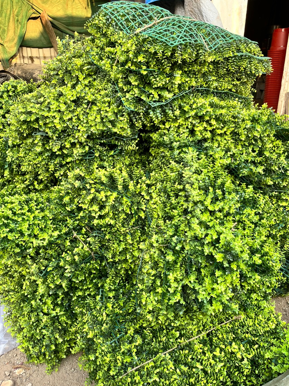 Artificial Boxwood Hedge Panels - Rental 