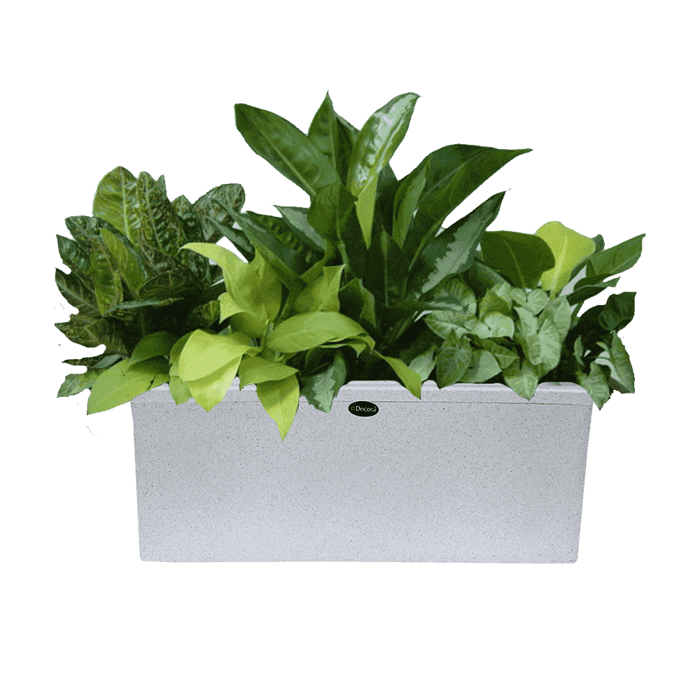 Decora Short Tropic Pot