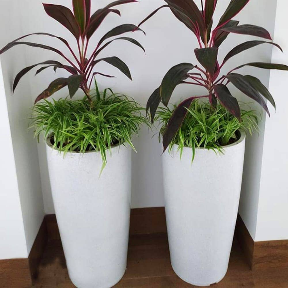 Decora Gleyz Vertical Tall Pot