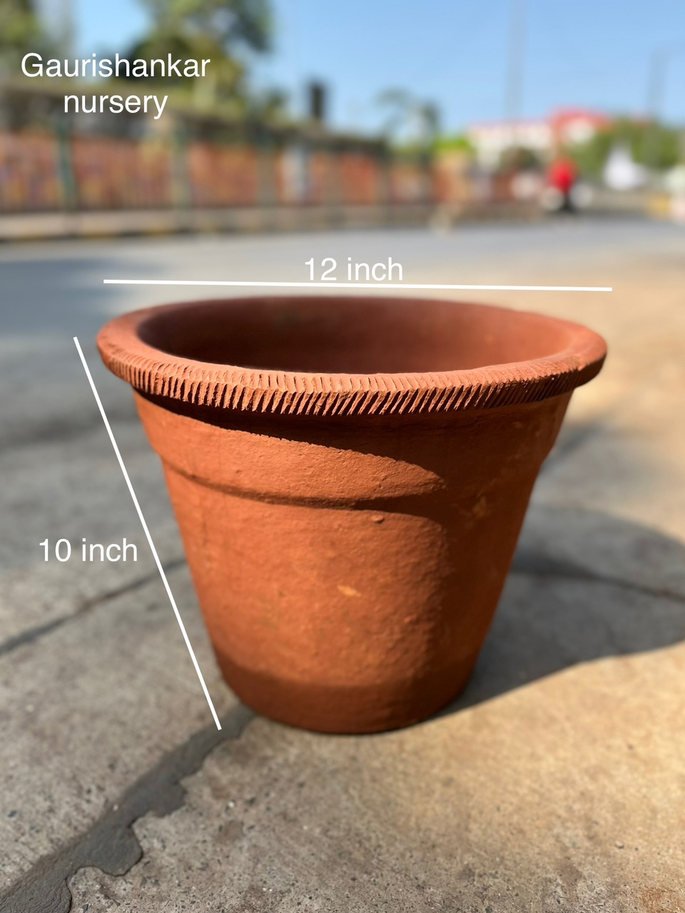 Terracotta Plant Pot - Rental 