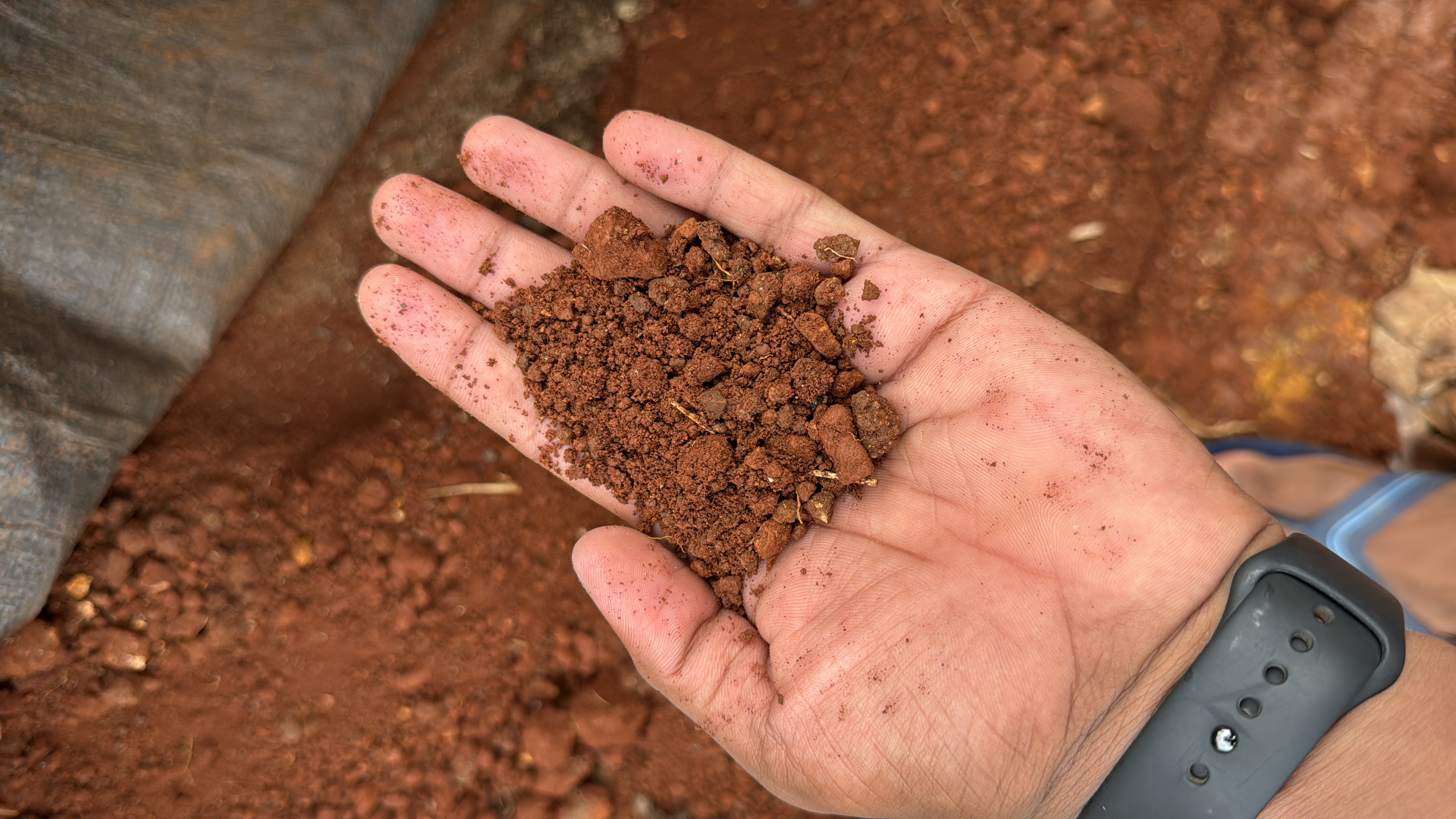 Red Soil