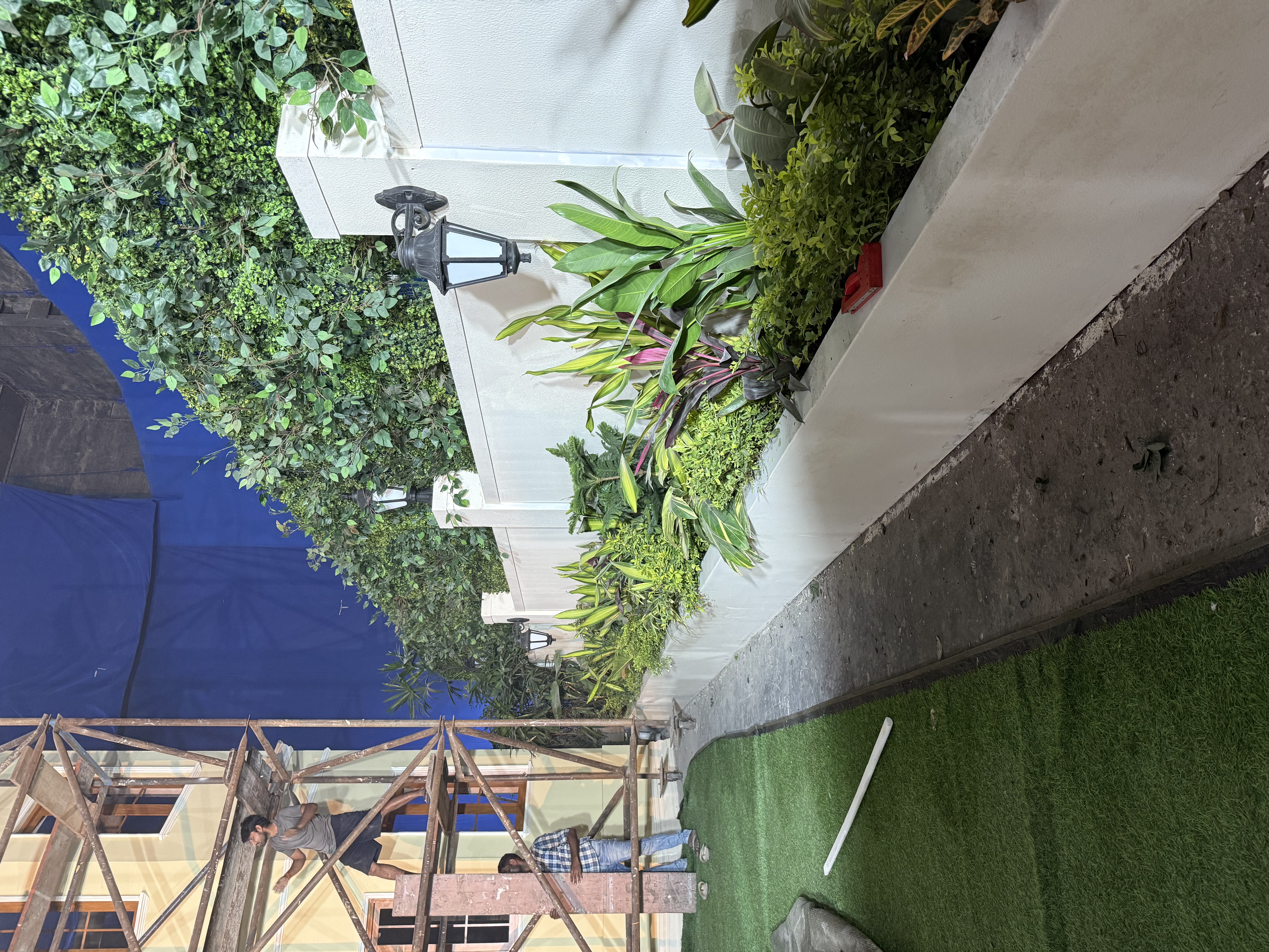 Outdoor garden Plants and Tree- Rental