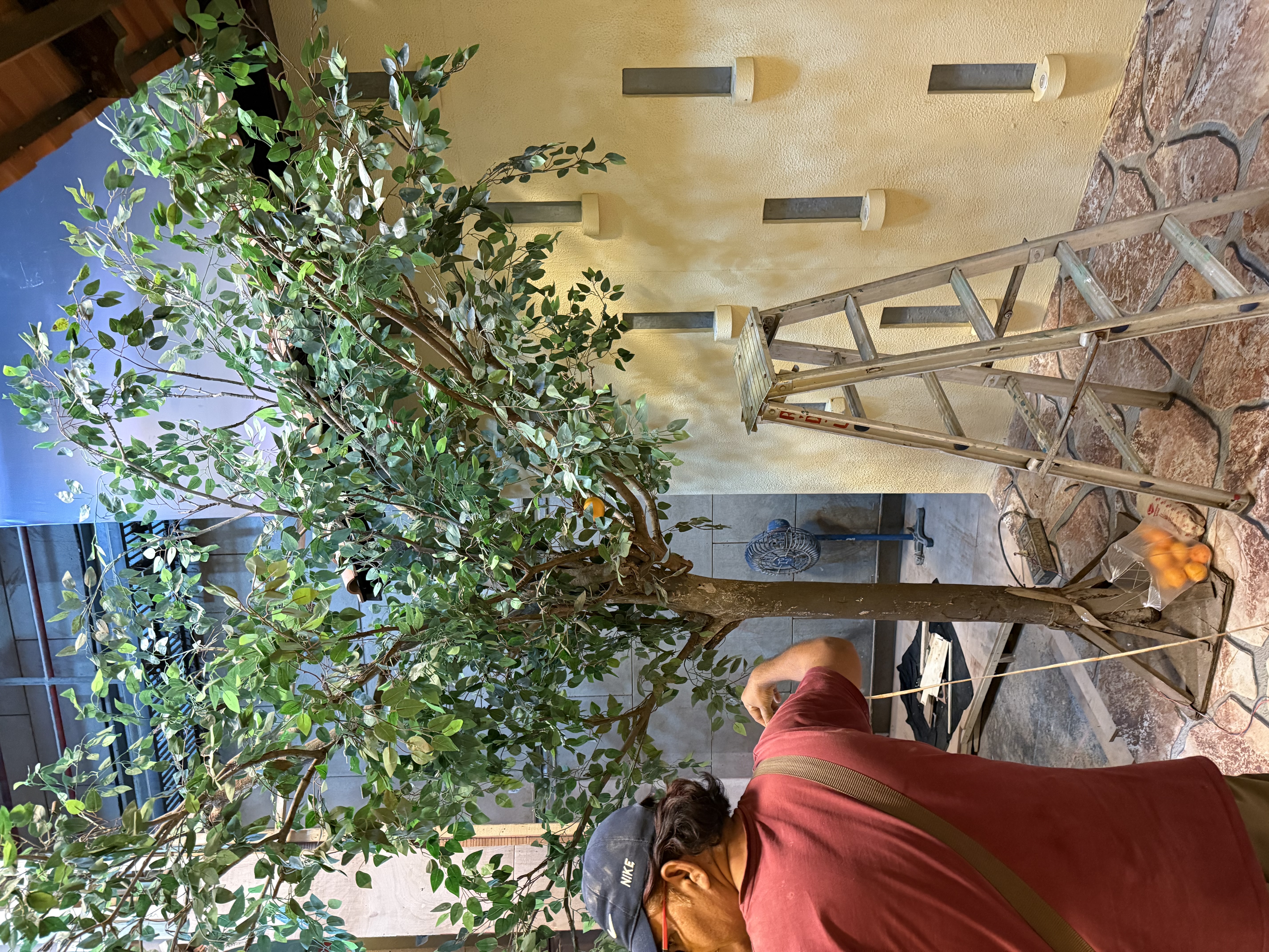 Artificial Olive Tree - Rental 