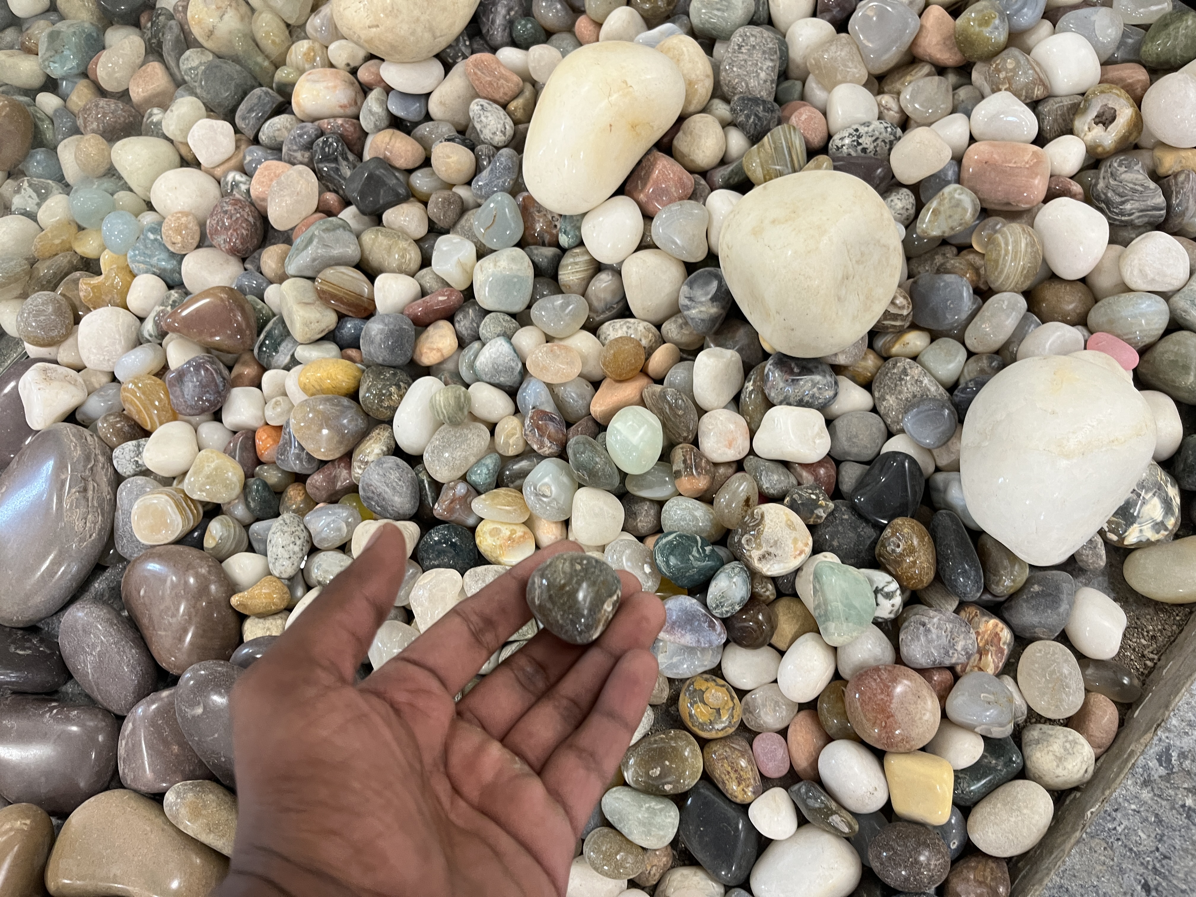 Polished Decorative Pebbles  20 Rupees Per Kg - Rental
