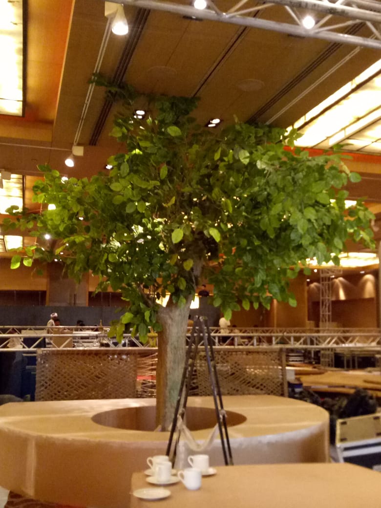 Indoor Decorative Tree - Rental