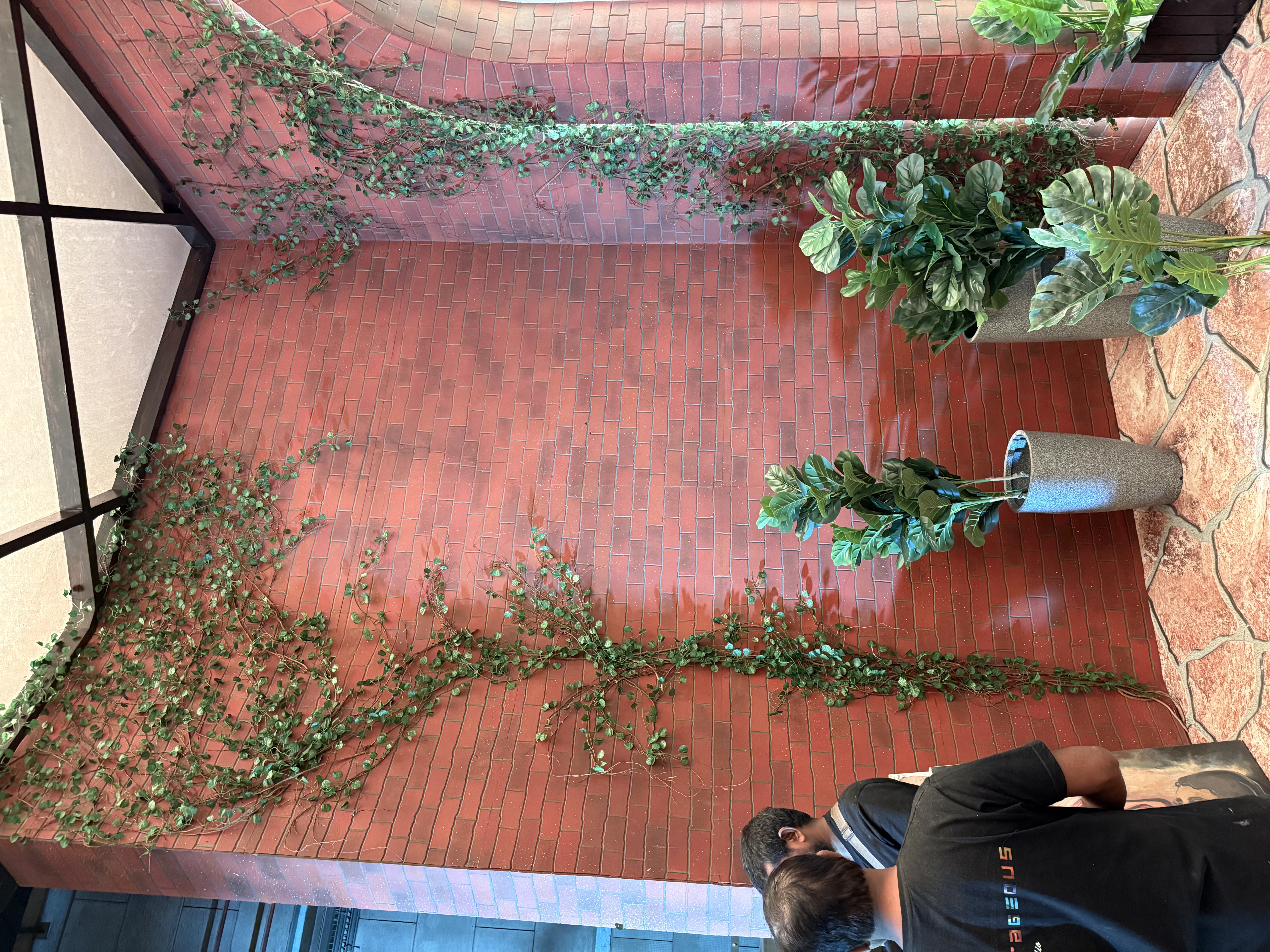 Artificial Potted Plant - Rental