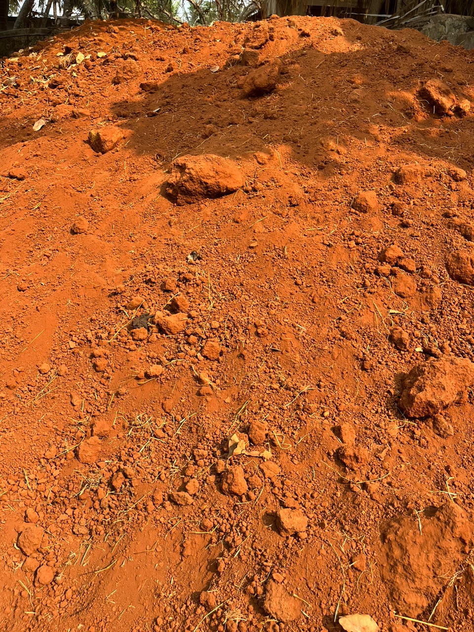 Red Soil - Rental