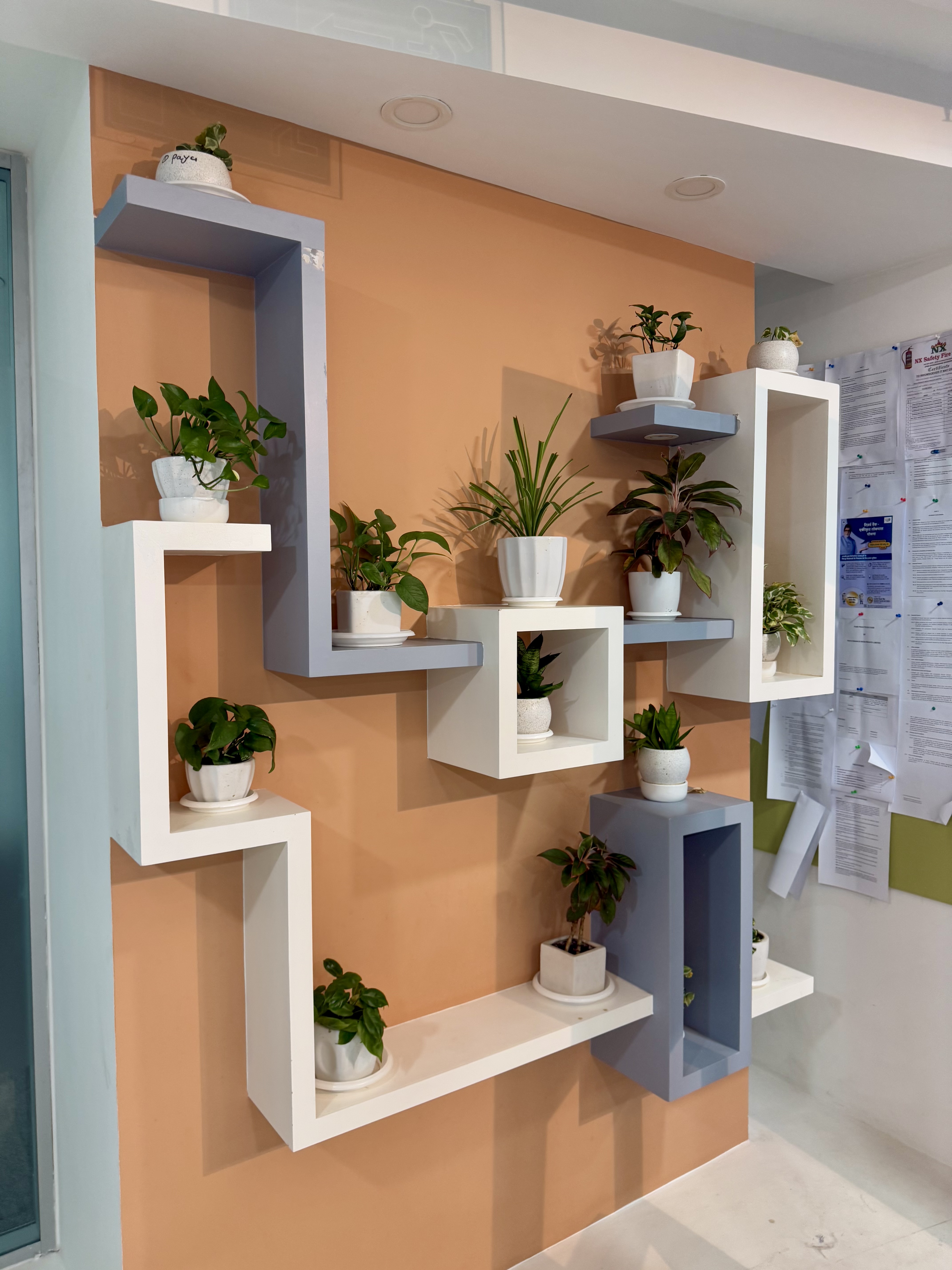 Indoor Plants and Decor - Rental