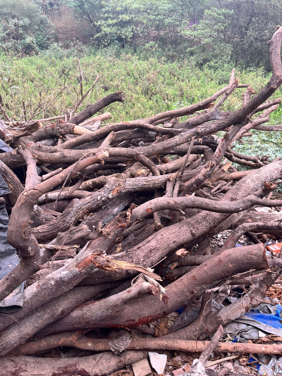 Firewood Logs - Rental 