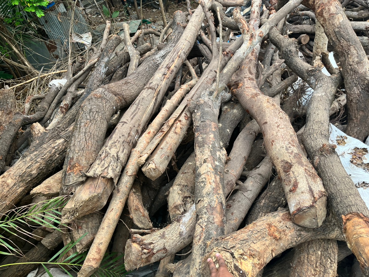 Firewood Logs Rental