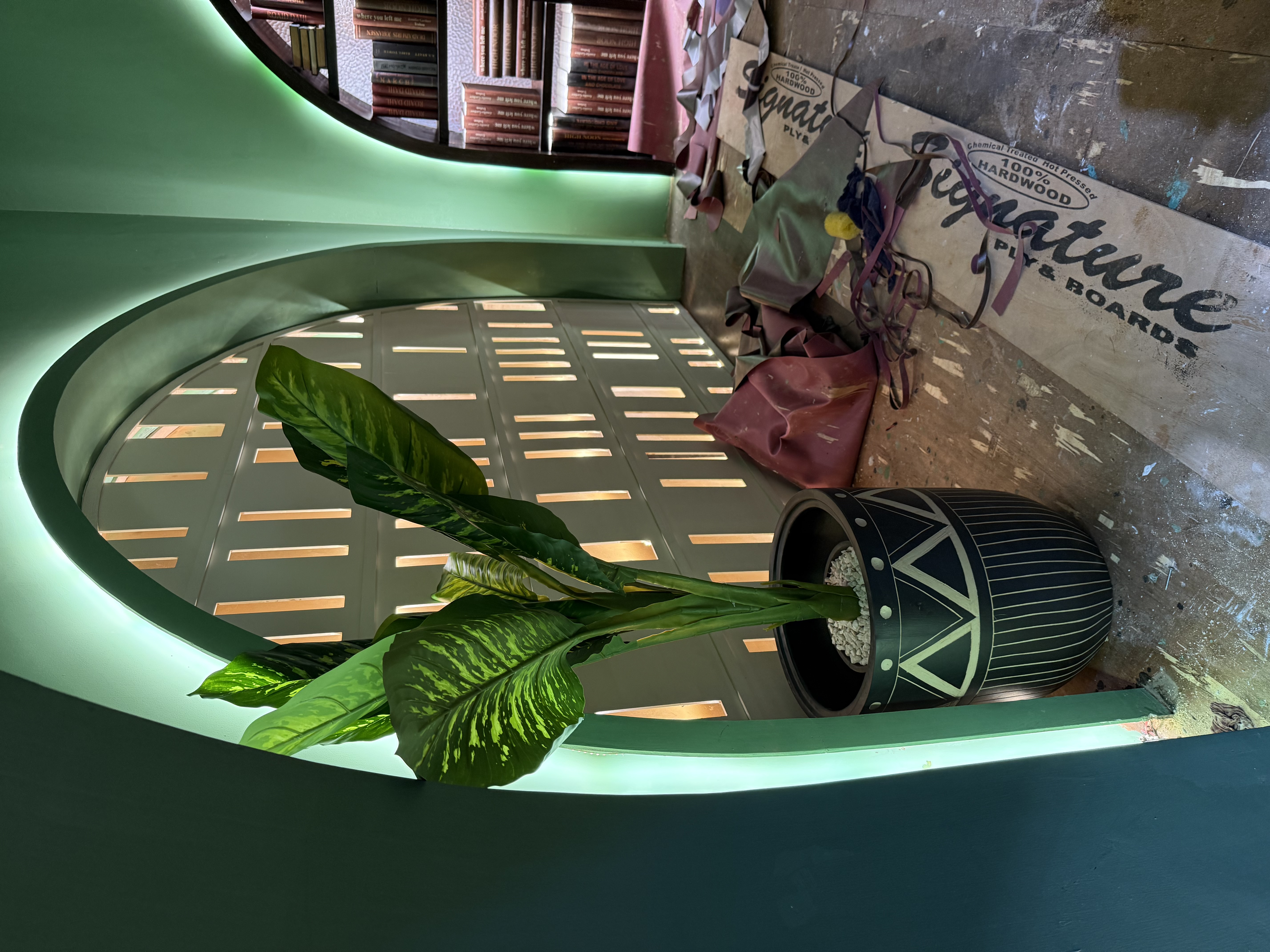 Decorative Potted Plant - Rental 