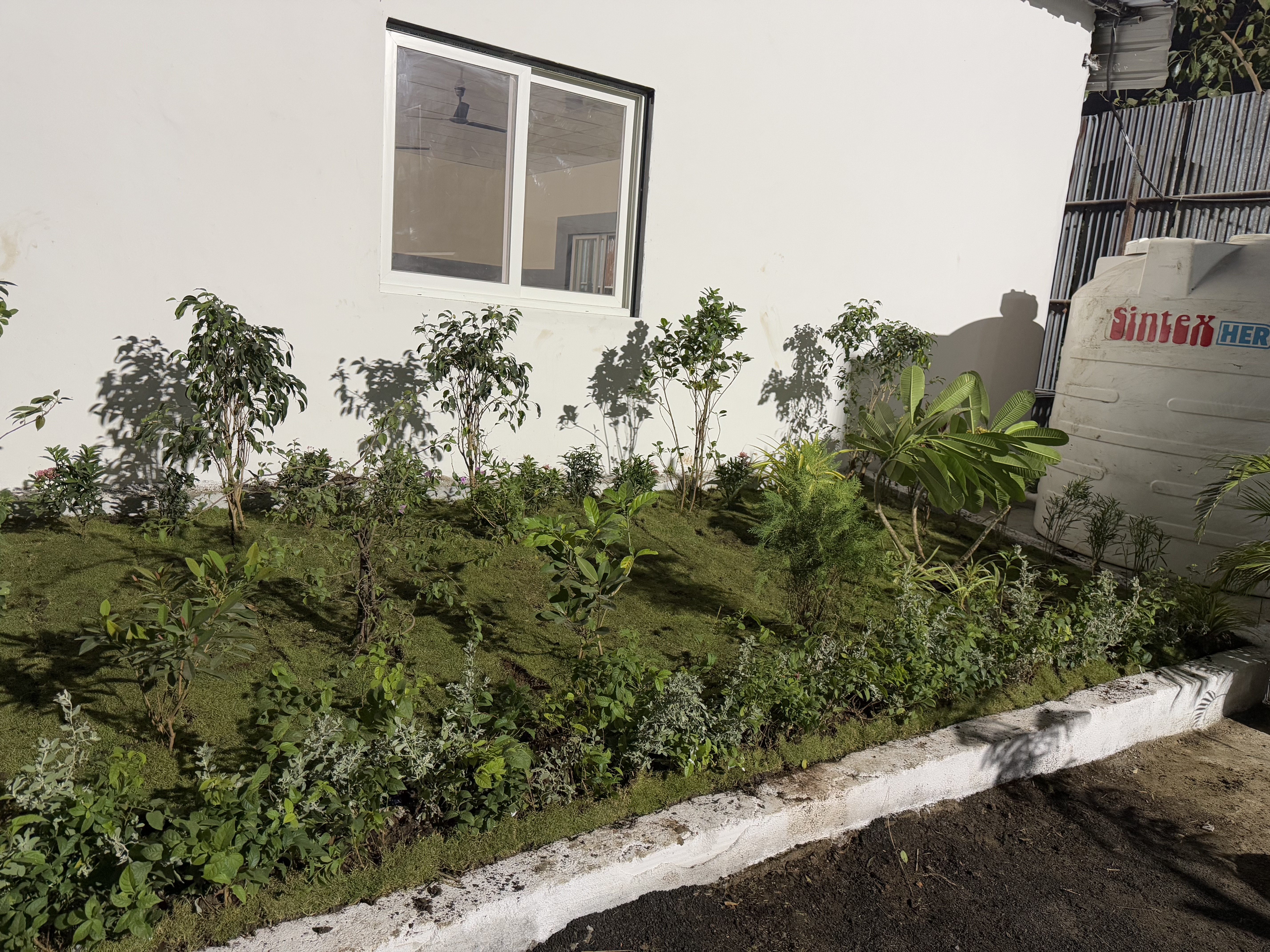 Garden Plants Mix Outdoor - Rental