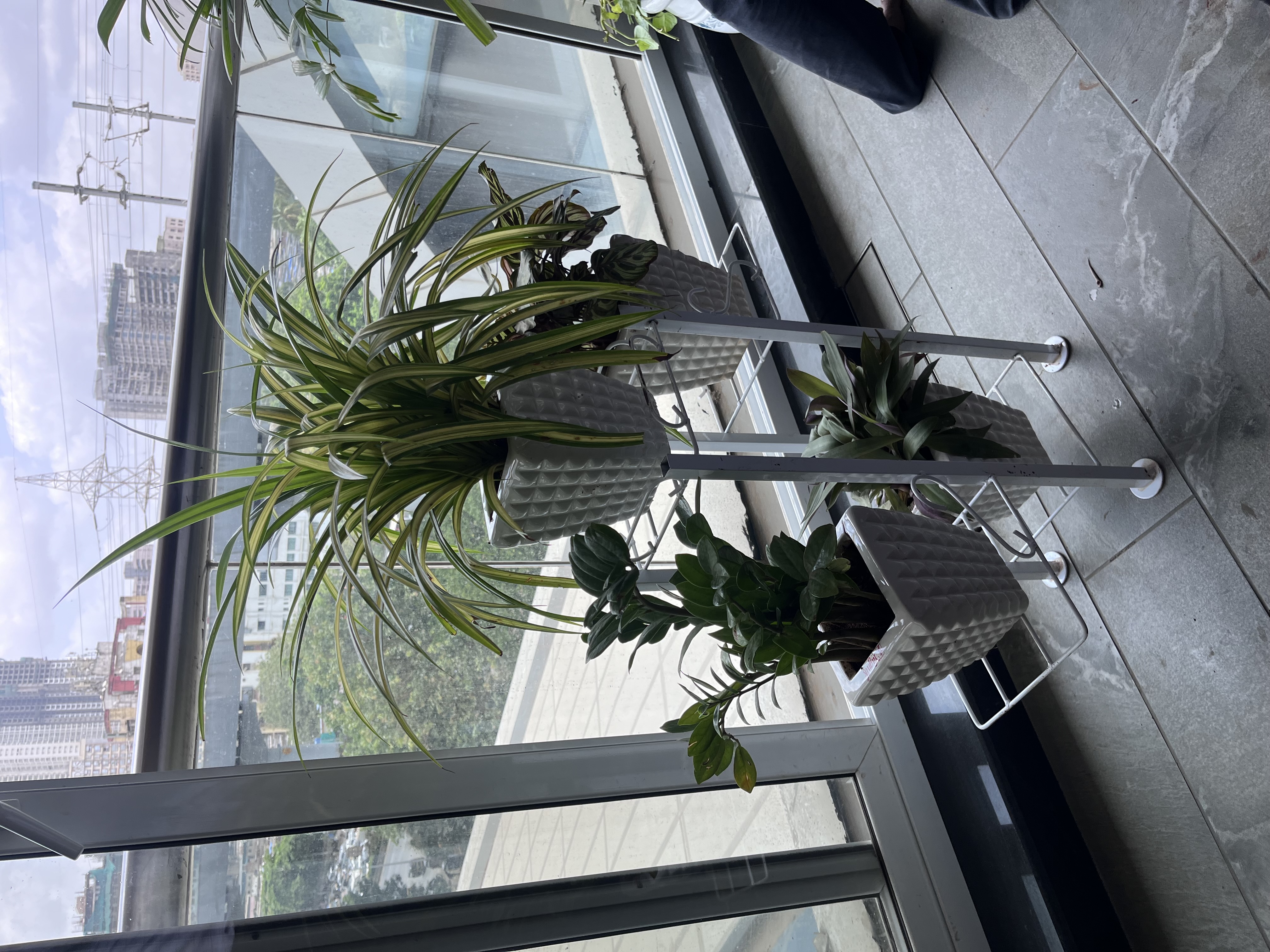 Modern Indoor Plant Stand with Ceramic Pots - Rental 