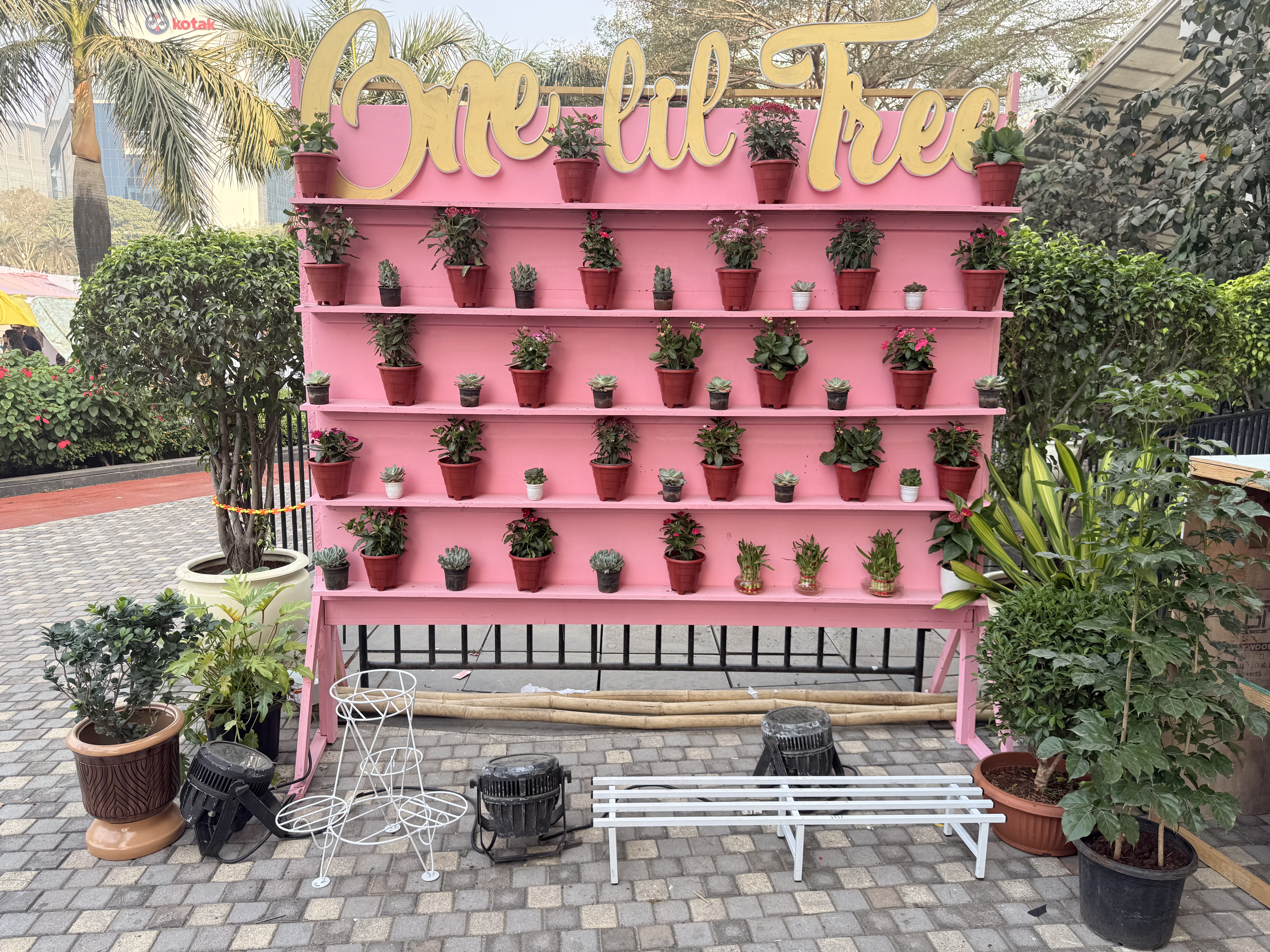 Indoor And Outdoor Plants  -  Rental