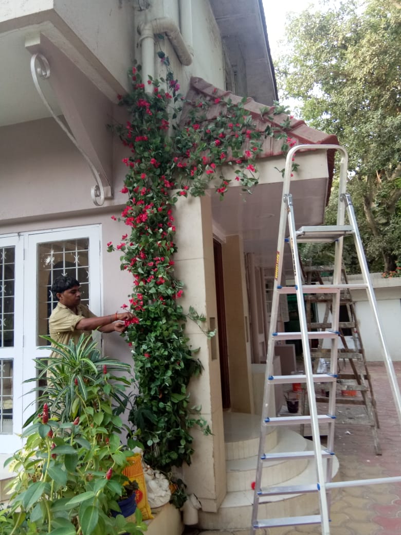 Artificial Creeper And Flower Decora - Rental