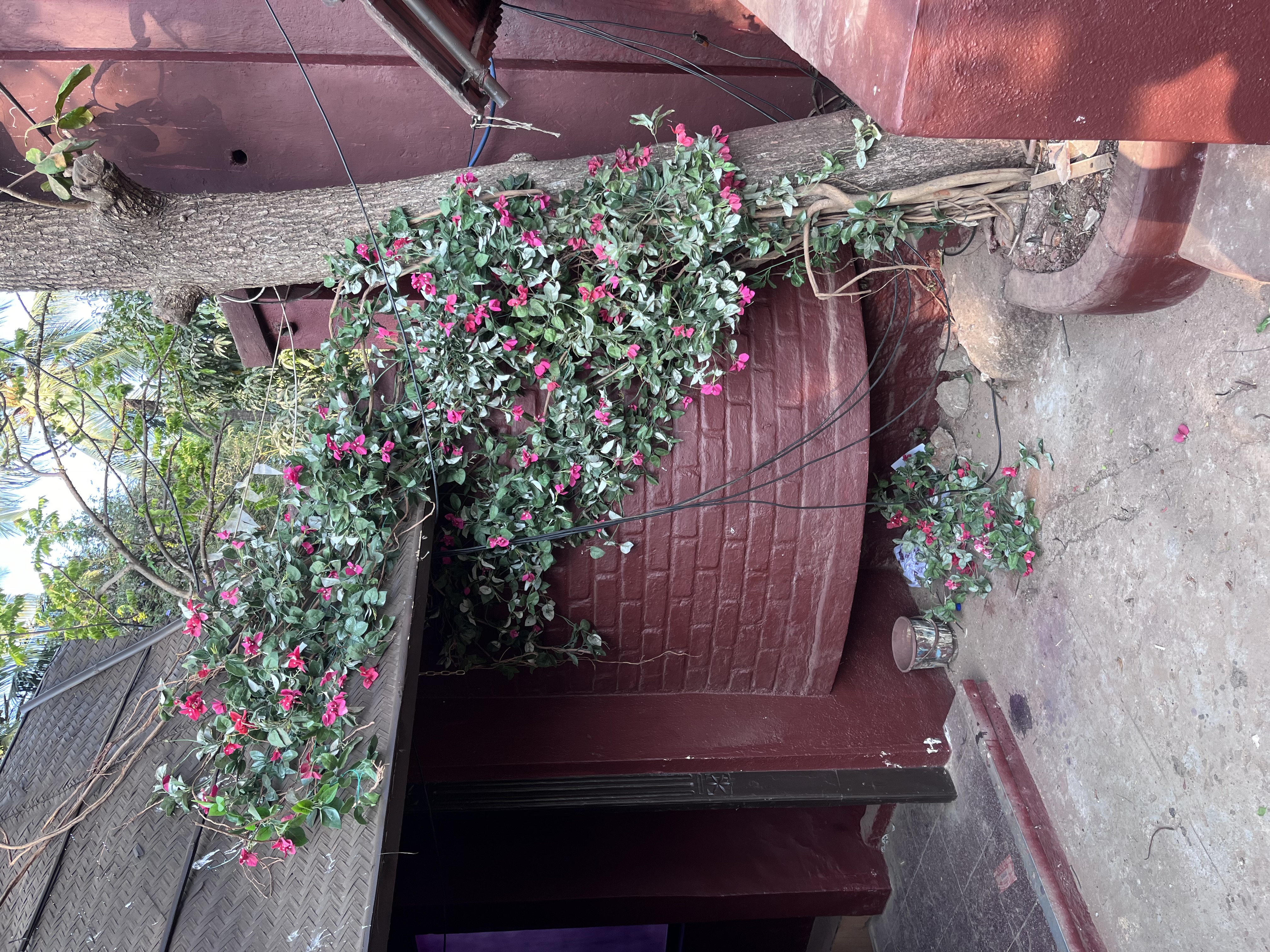 Artificial Bougainvillea Creepers work  - Rental