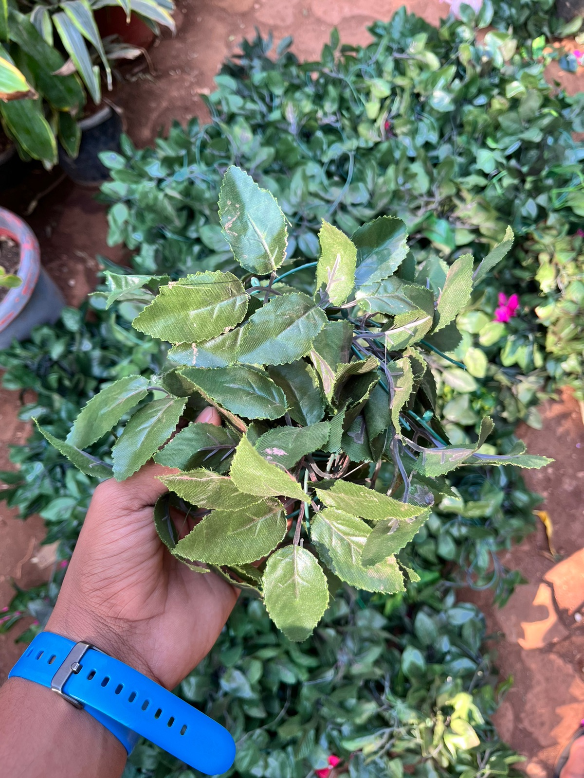 Artificial Green Leaf Plant - Rental 