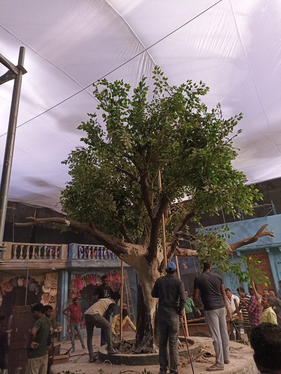 Artificial Large Tree - Rental