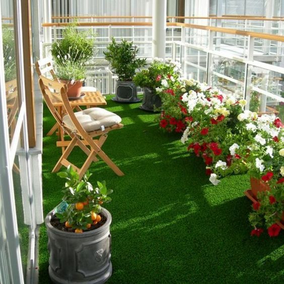 Outdoor  Plant  -  Rental
