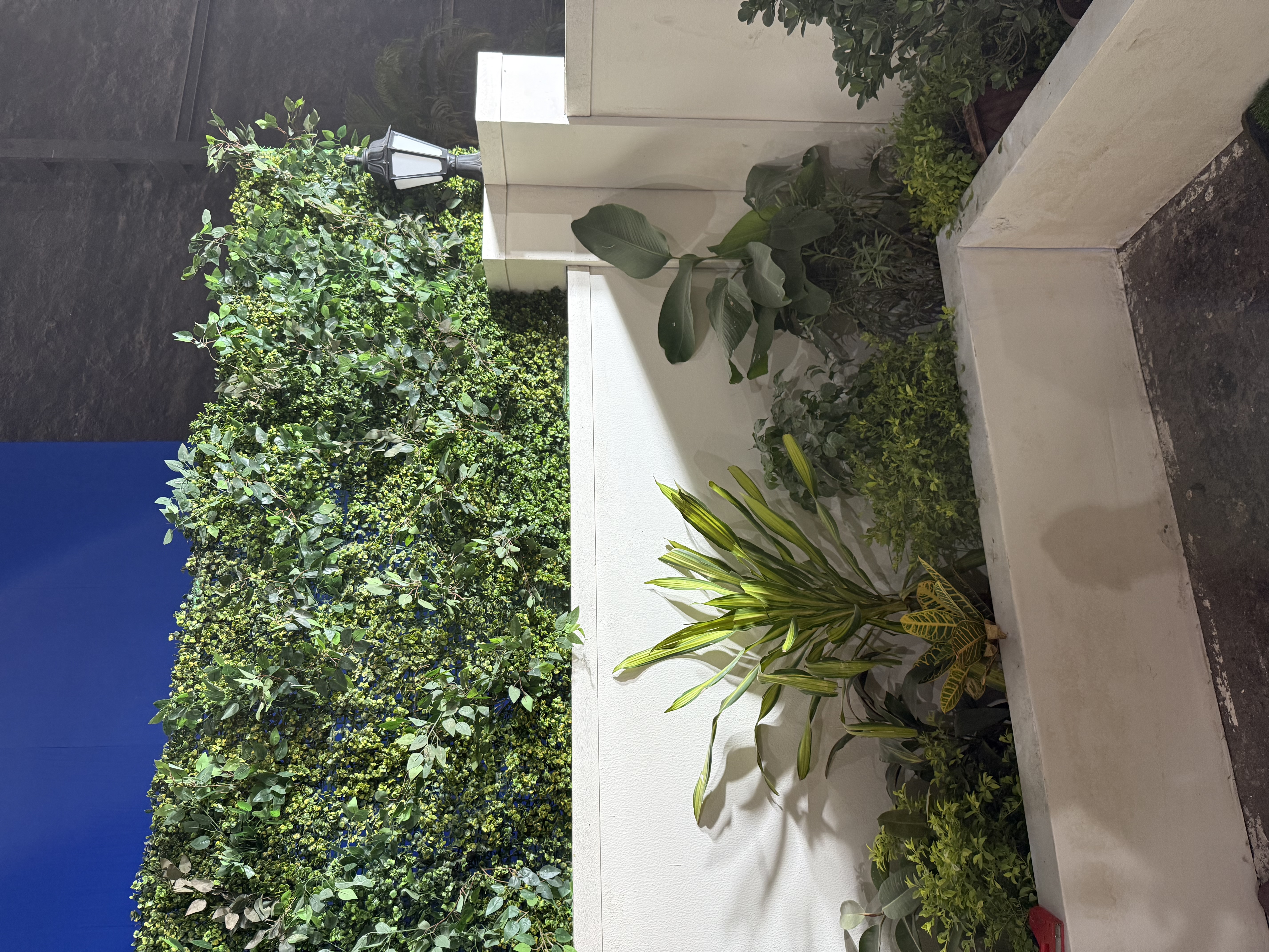 Decorative Green Wall Panels - Rental 
