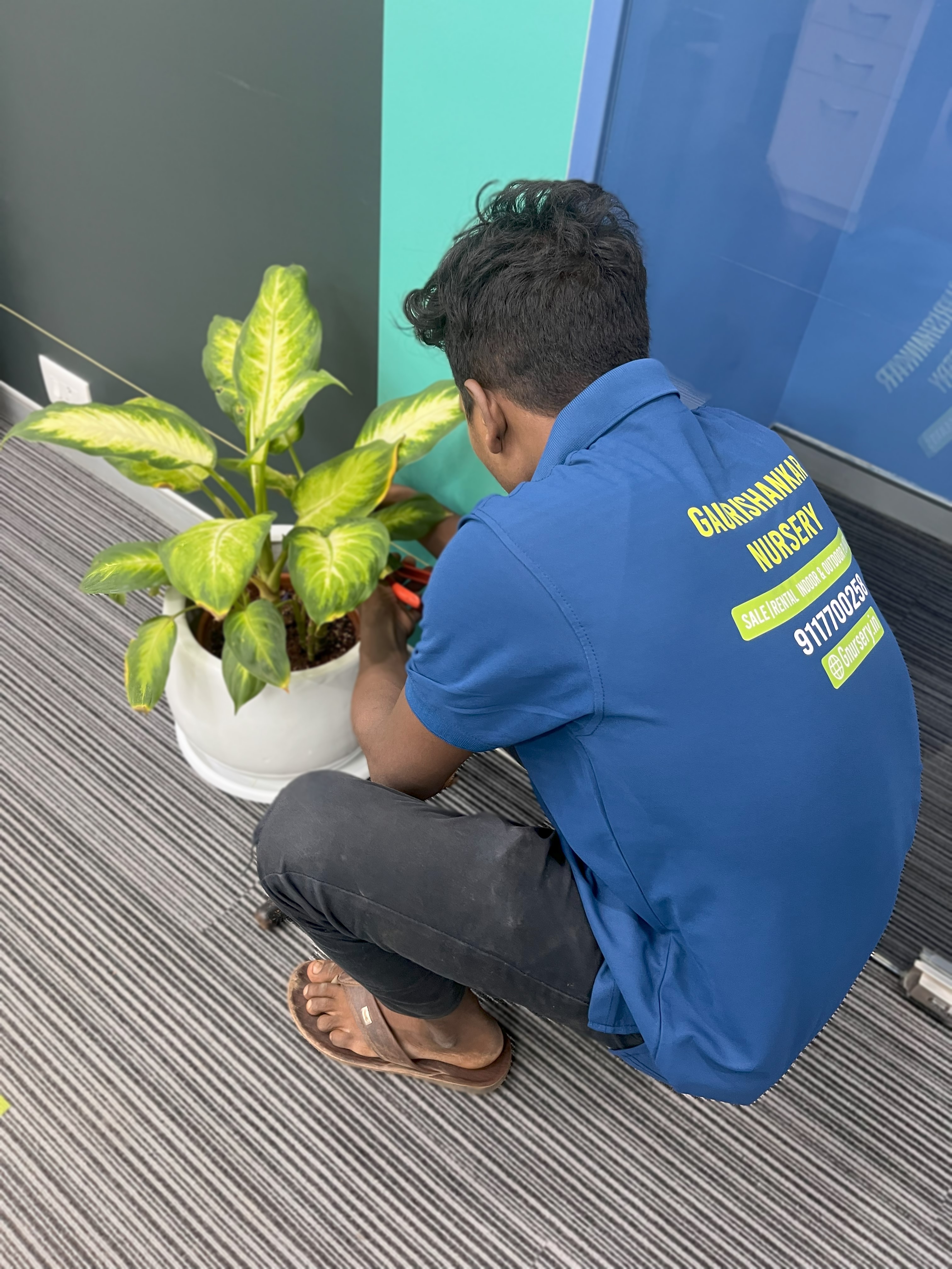 Book A Mali Service 