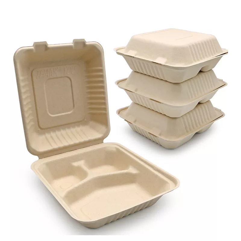 Lunch Box Bagasse Sekat 3