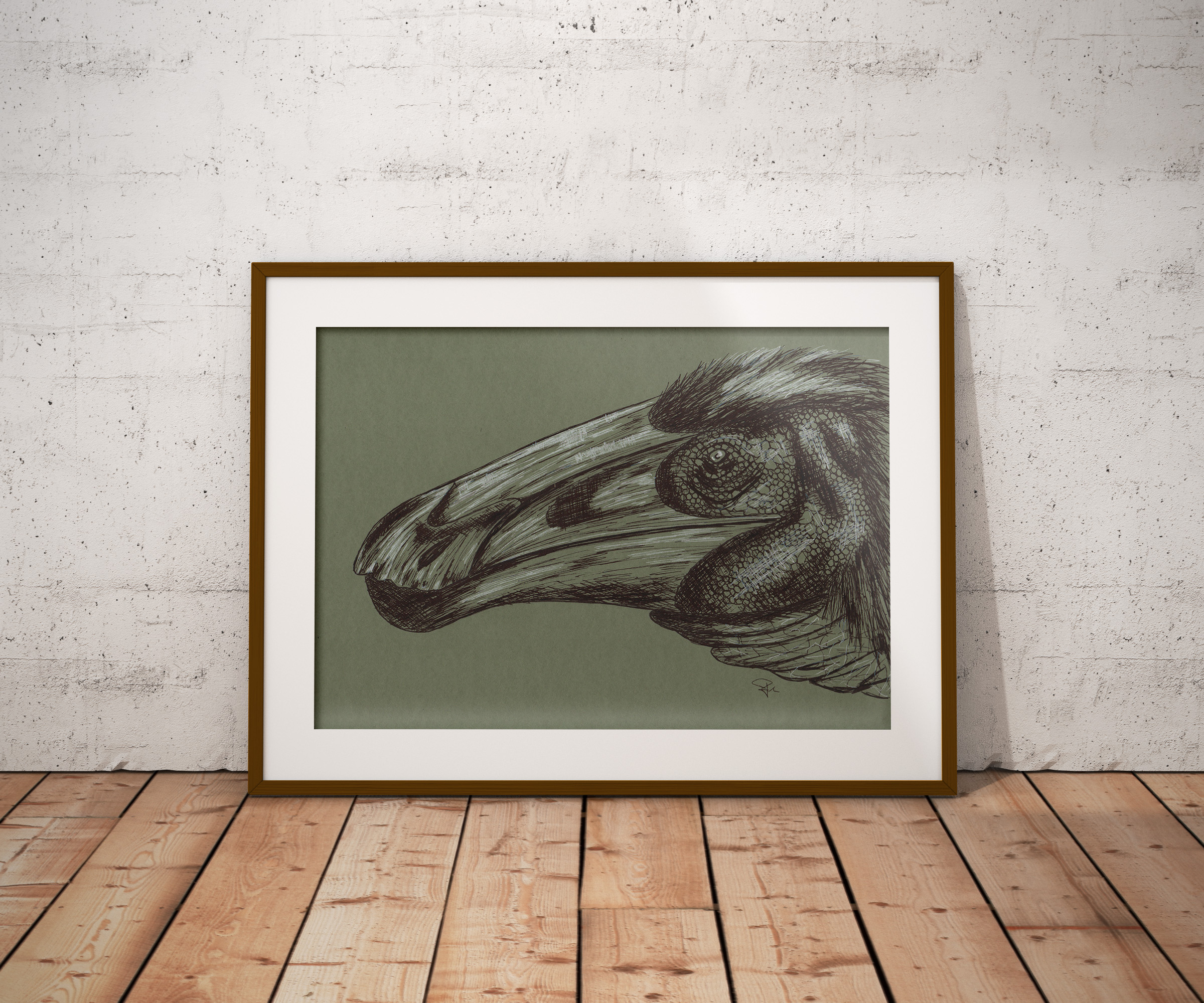 Paraxenisaurus