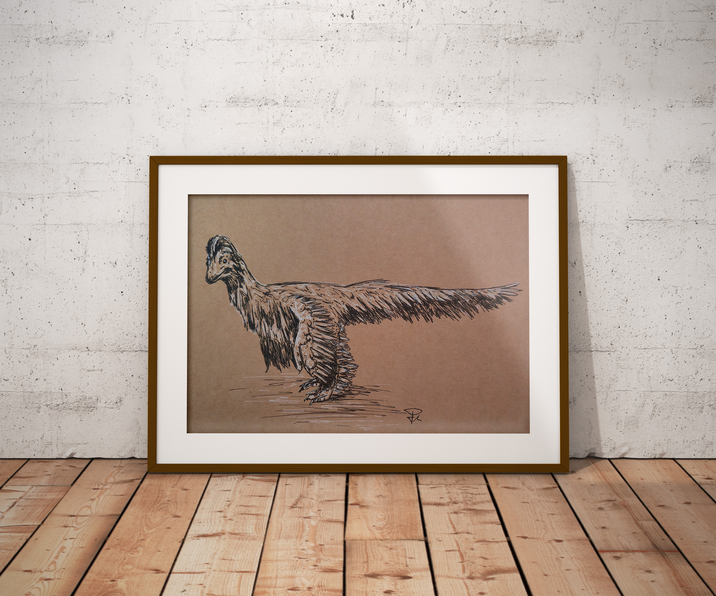 Anchiornis