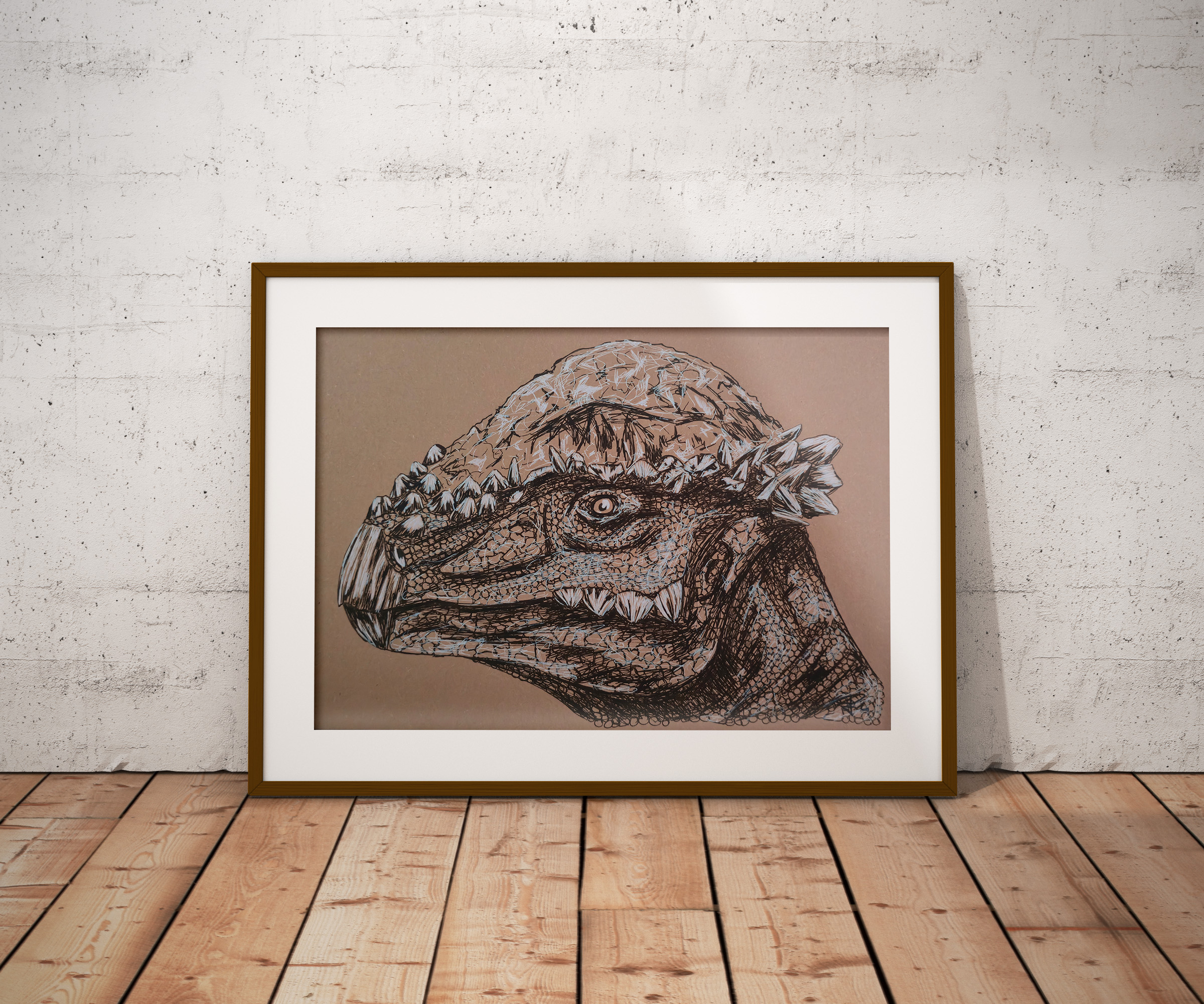 Stegoceras