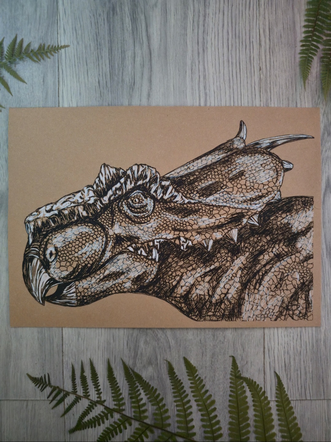 Achelousaurus
