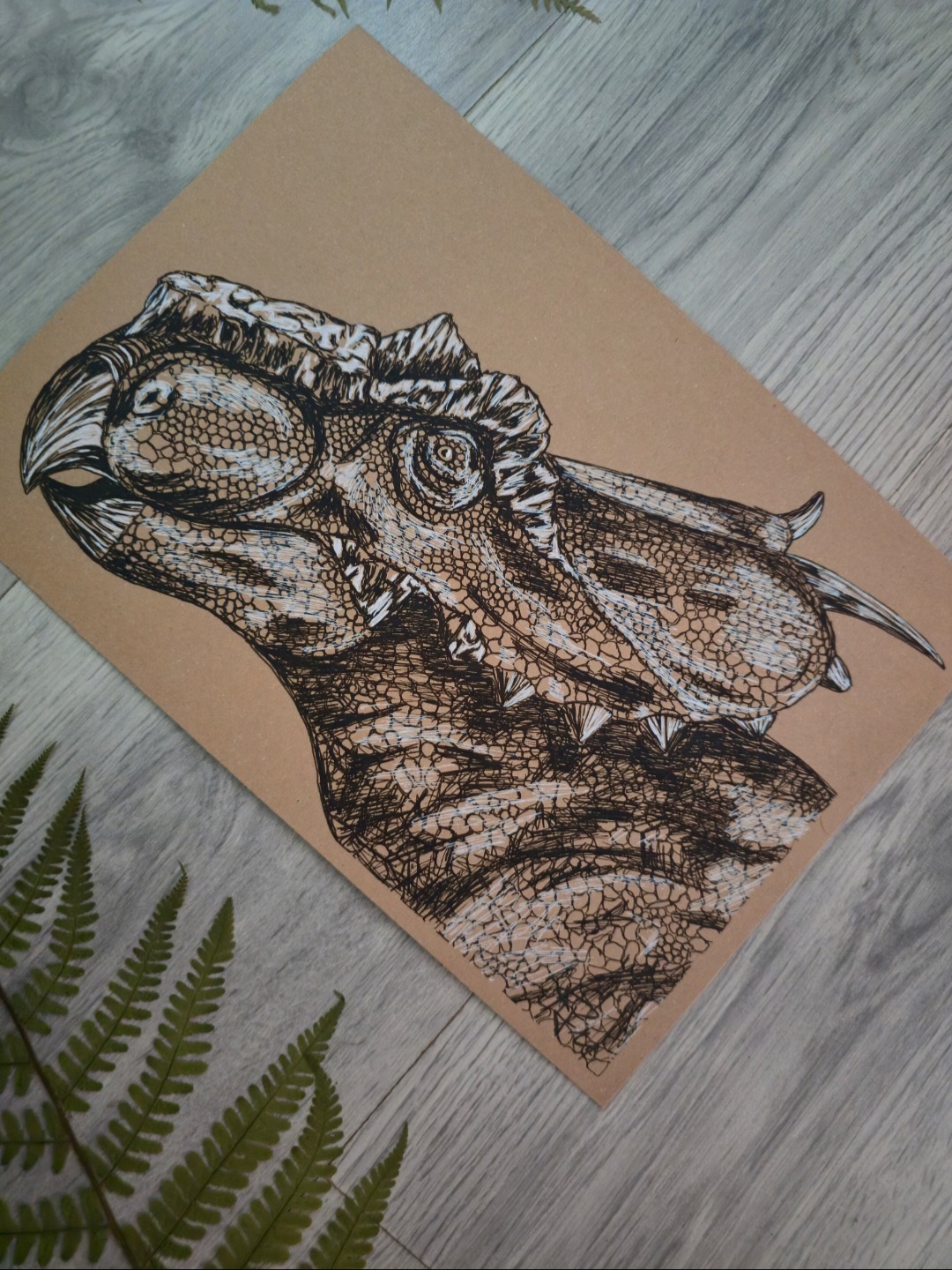 Achelousaurus