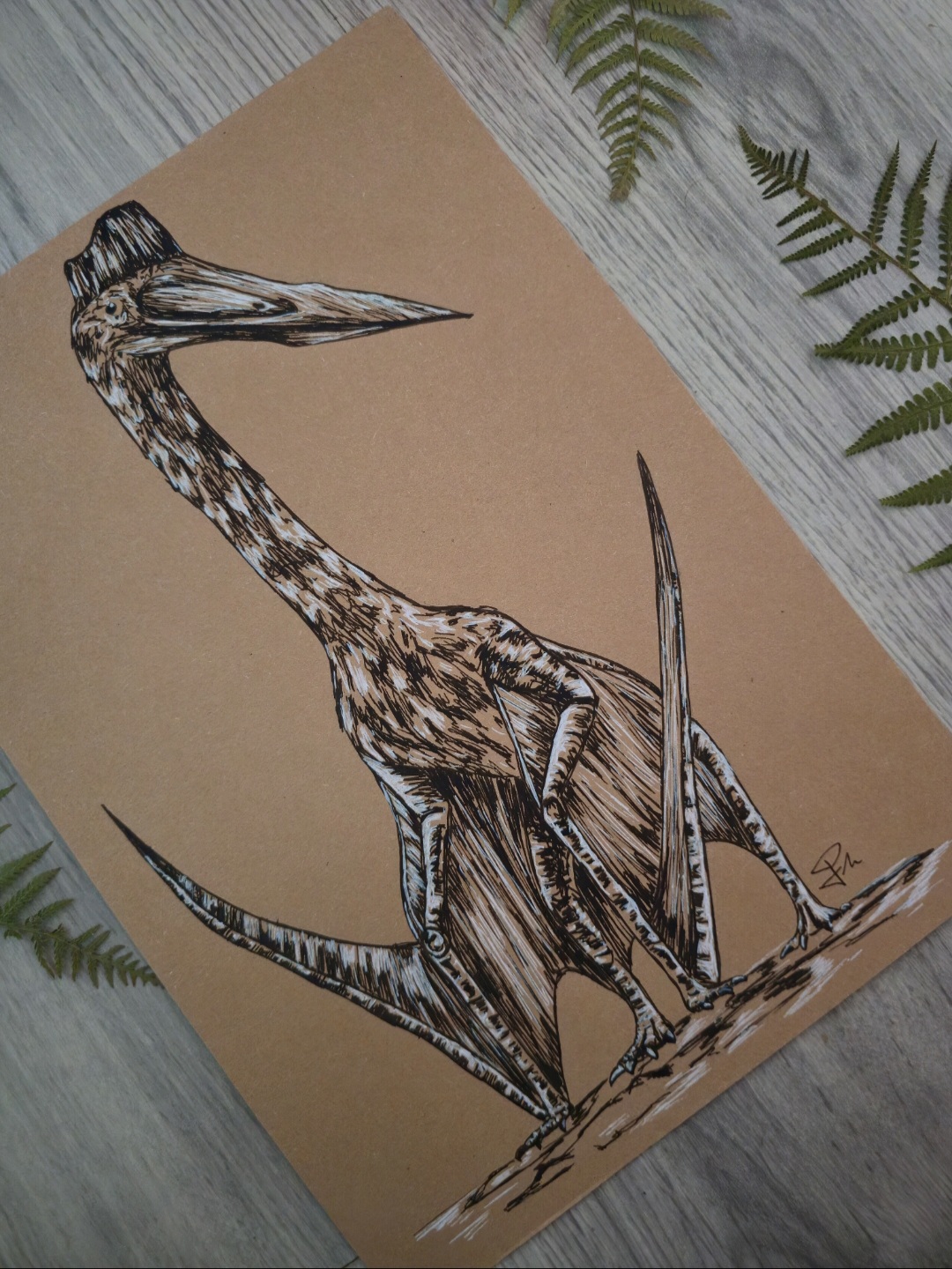 Quetzalcoatlus