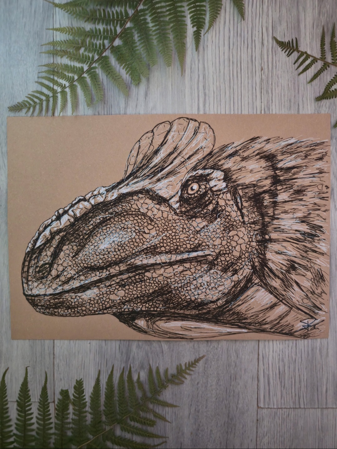 Cryolophosaurus