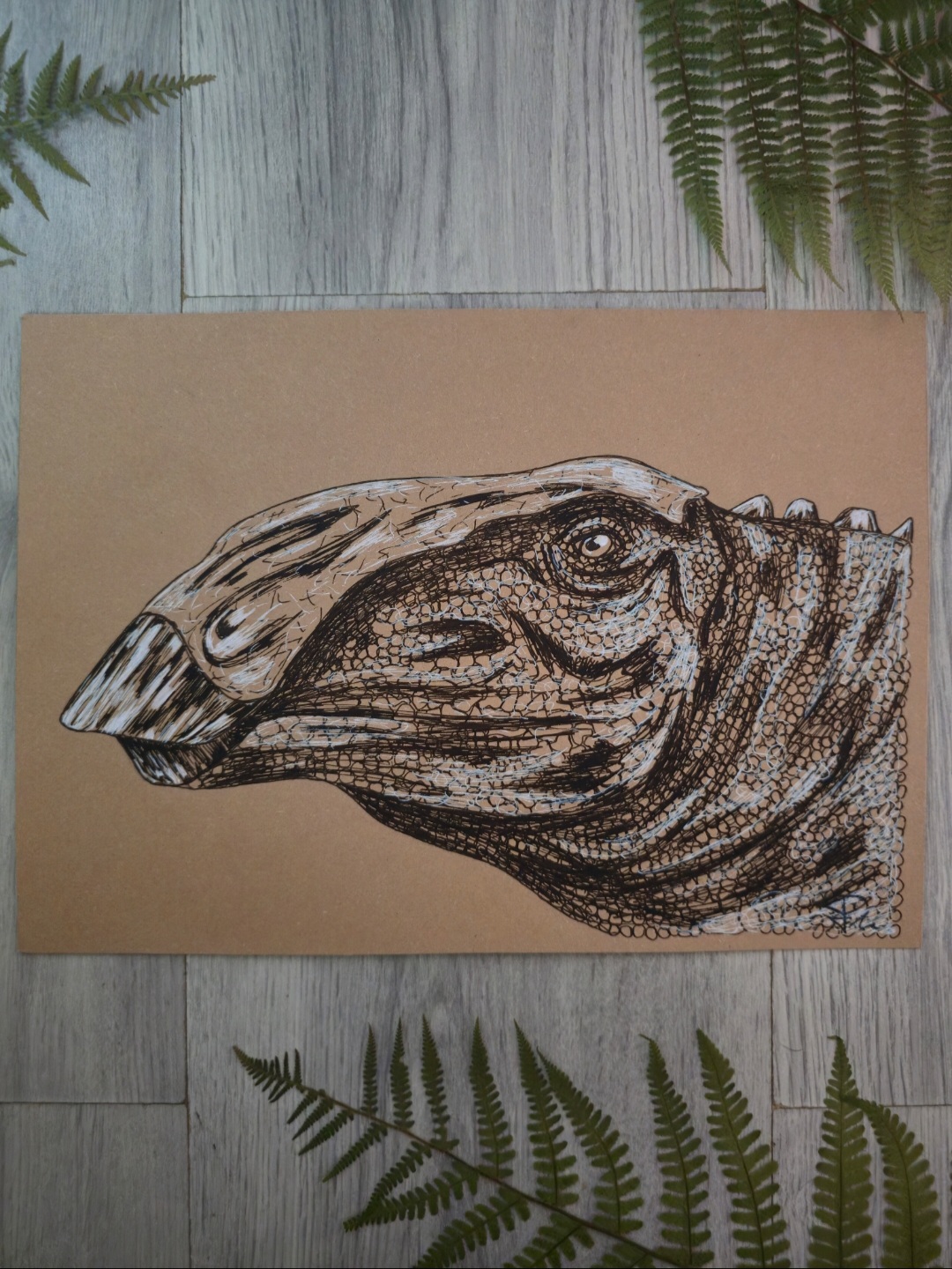 Brachylophosaurus
