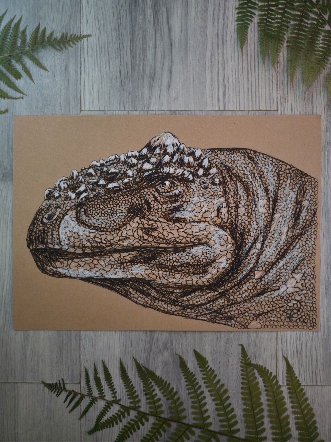 Rajasaurus
